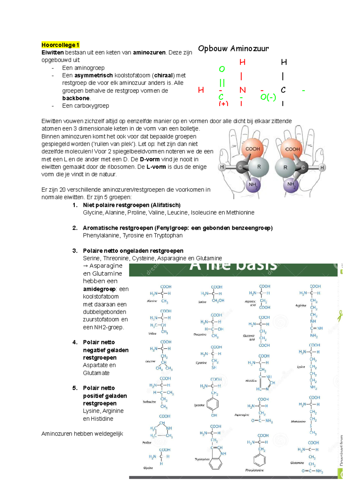 Biochemie 1 Hoorcolleges - Hoorcollege 1 Eiwitten Bestaan Uit Een Keten ...