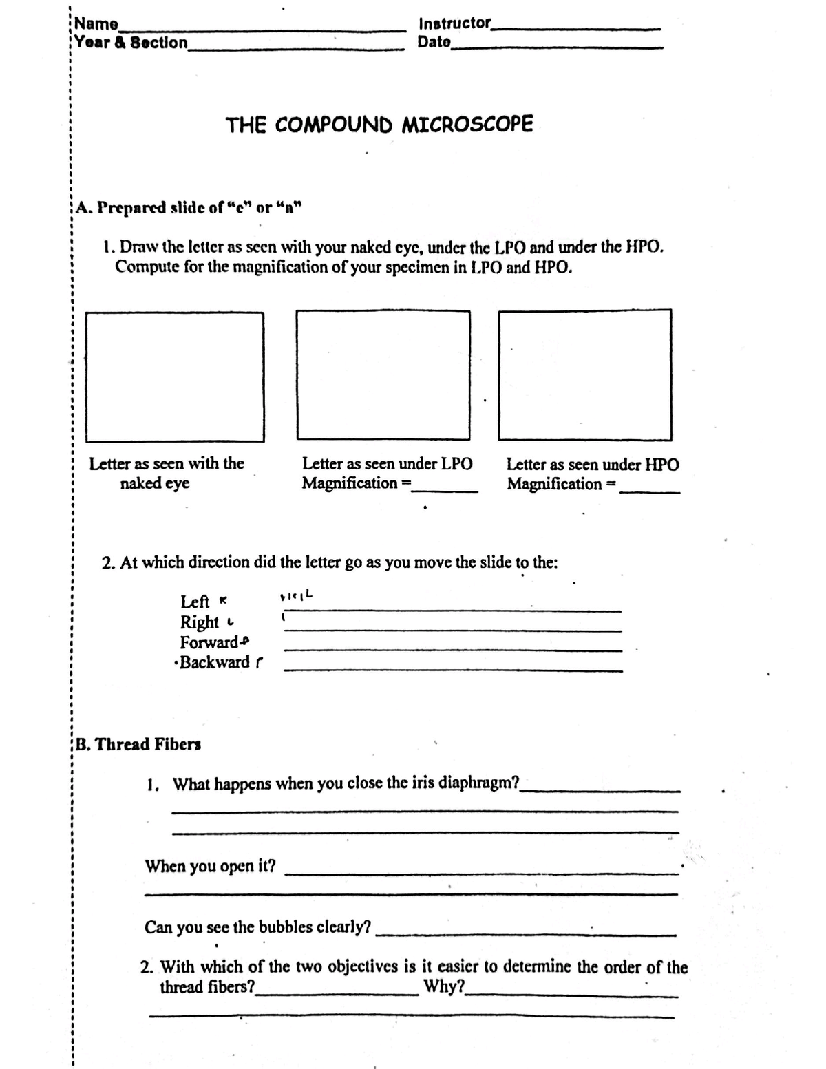 compound microscope assignment pdf