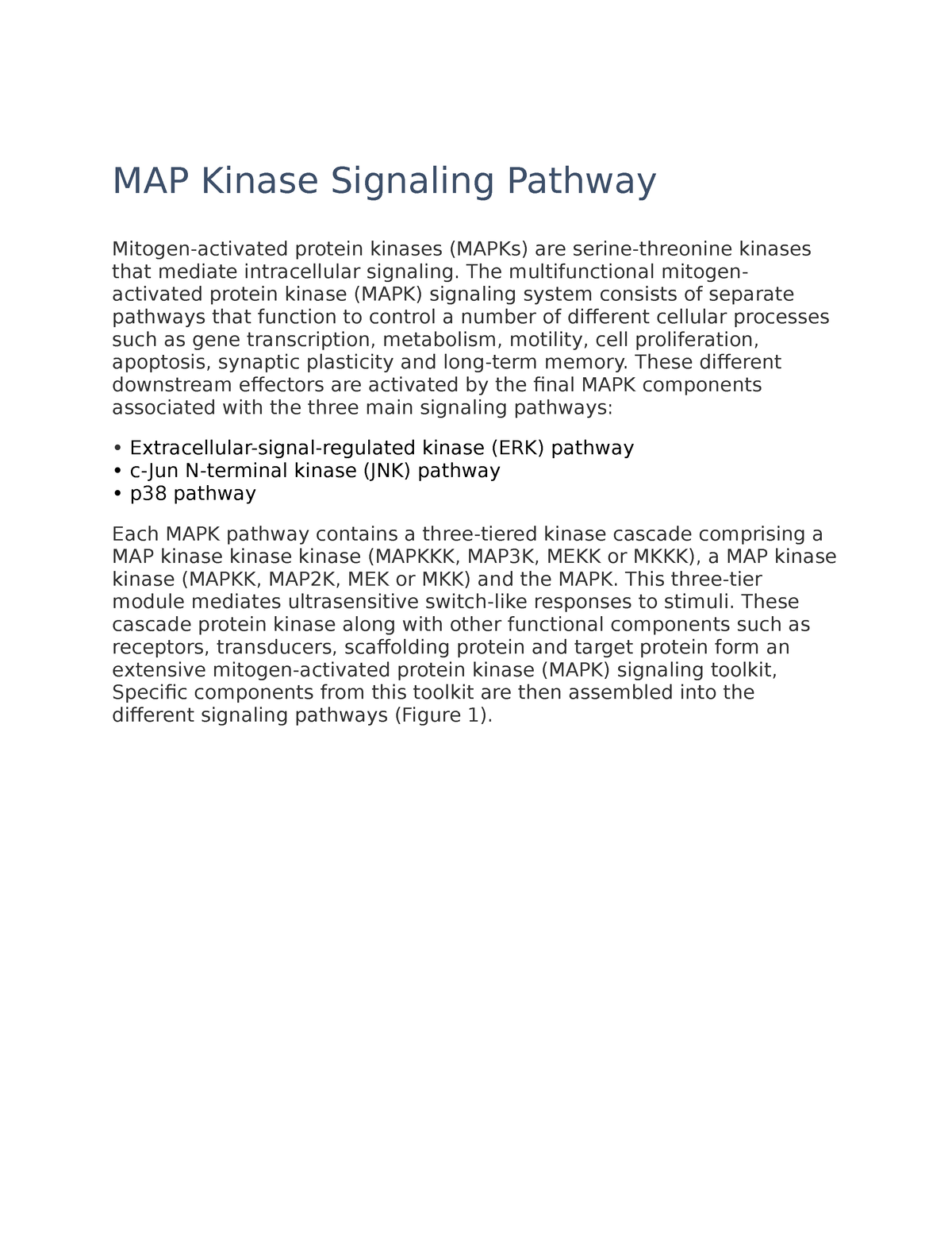 MAP Kinase Signaling Pathway MAP Kinase Signaling Pathway Mitogen   Thumb 1200 1553 