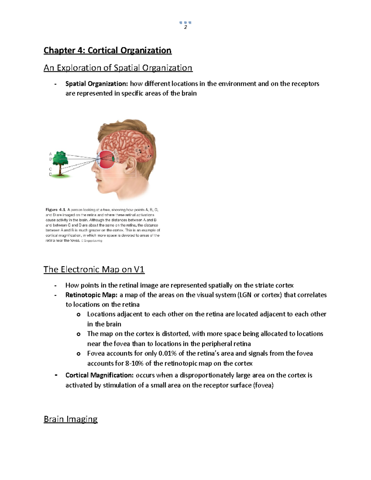 Chapter 4 - Cortical Organization - A 34-year-old woman who suffered ...