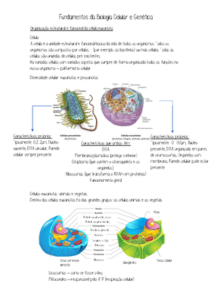 Resumos fundamentos de biologia celular e genética 2ª frequência ...