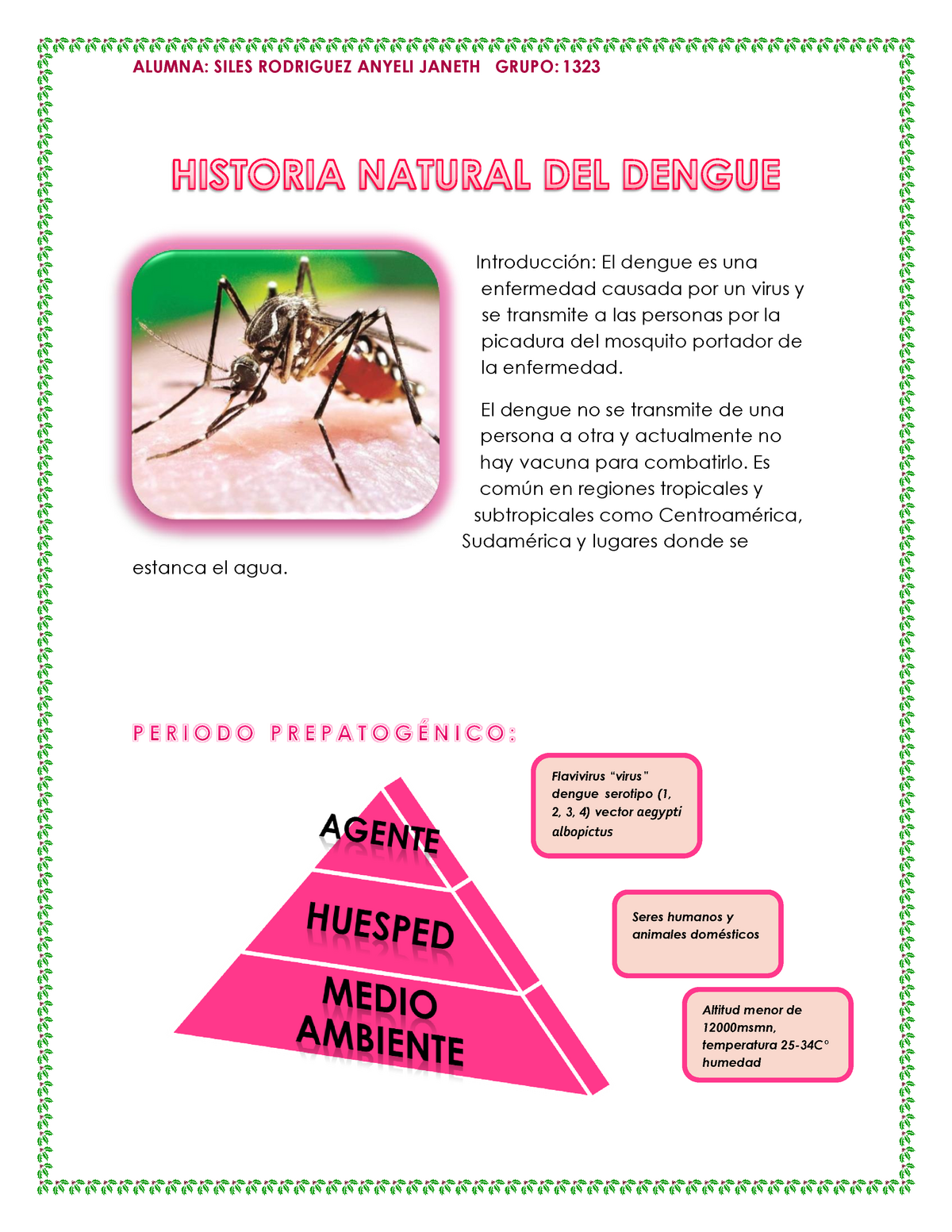 Historia Natural Del Dengue Mapa Mental Amostra 5740