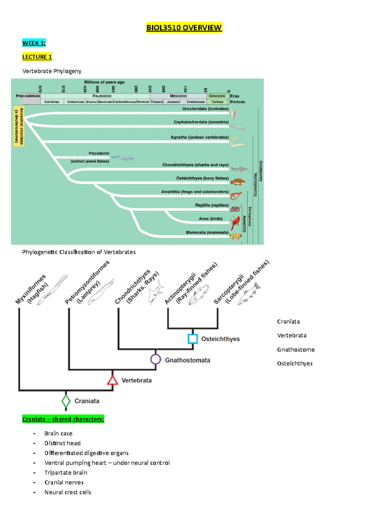 BIOL3510 Overview - lecture notes - BIOL3510 OVERVIEW WEEK 1: LECTURE 1 ...