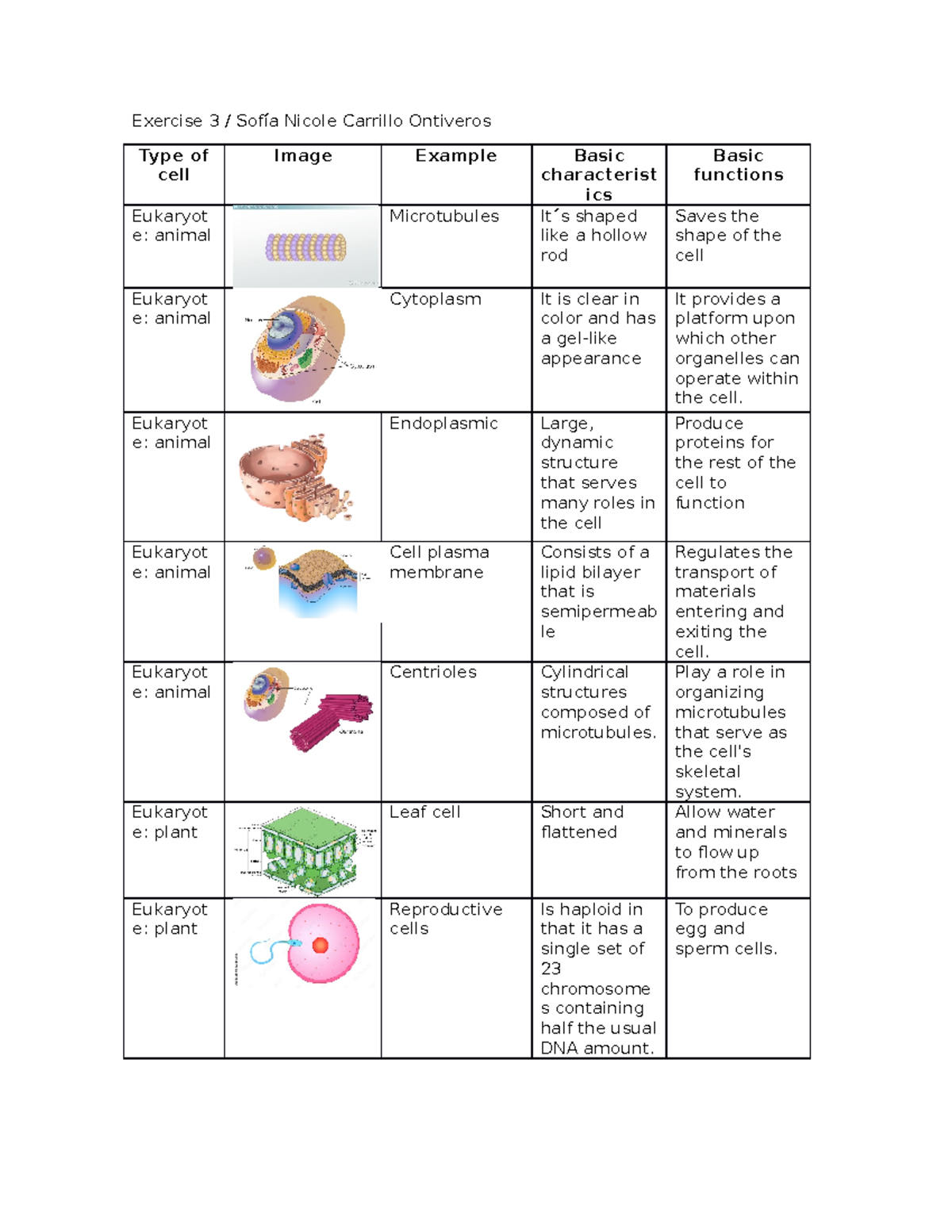 Exercise 3 - Exercise 3 / Sofía Nicole Carrillo Ontiveros Type of cell ...