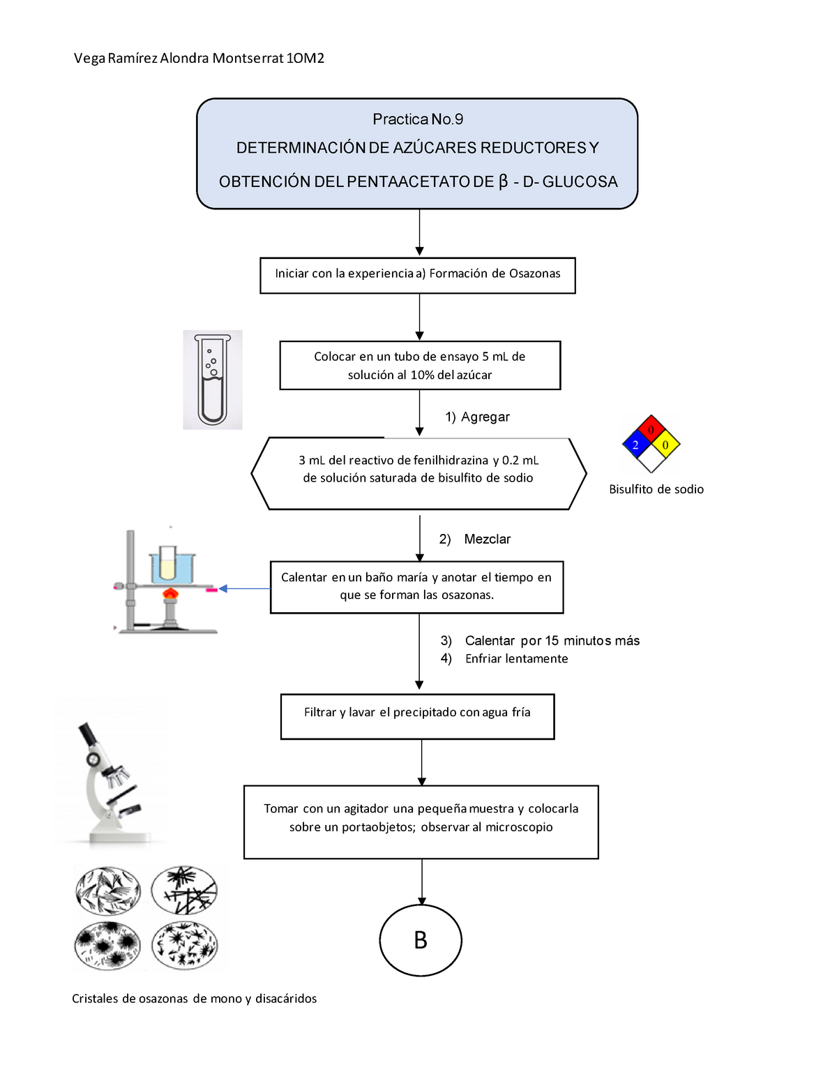 Diagrama De Flujo Pract 9 Determinacion De Azucares Reductores Practica No DeterminaciÓn De 9987