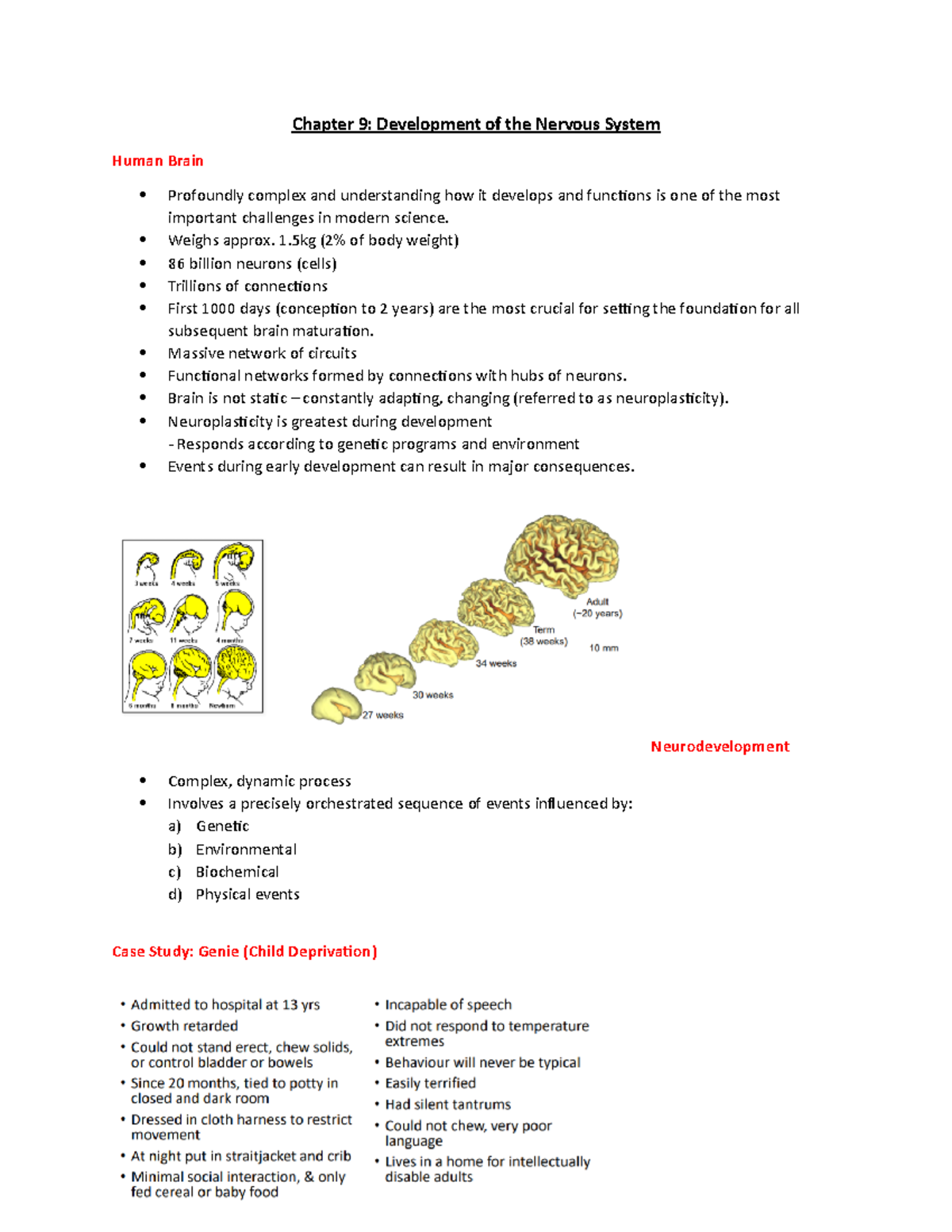 PSY2061_Week 2 Development of Nervous System - Chapter 9: Development ...
