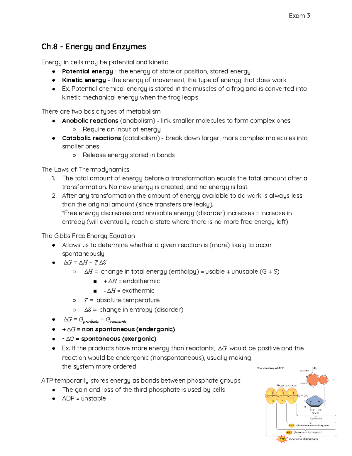 Exam 3 Notes - Covers The Following Topics: Energy And Enzymes ...