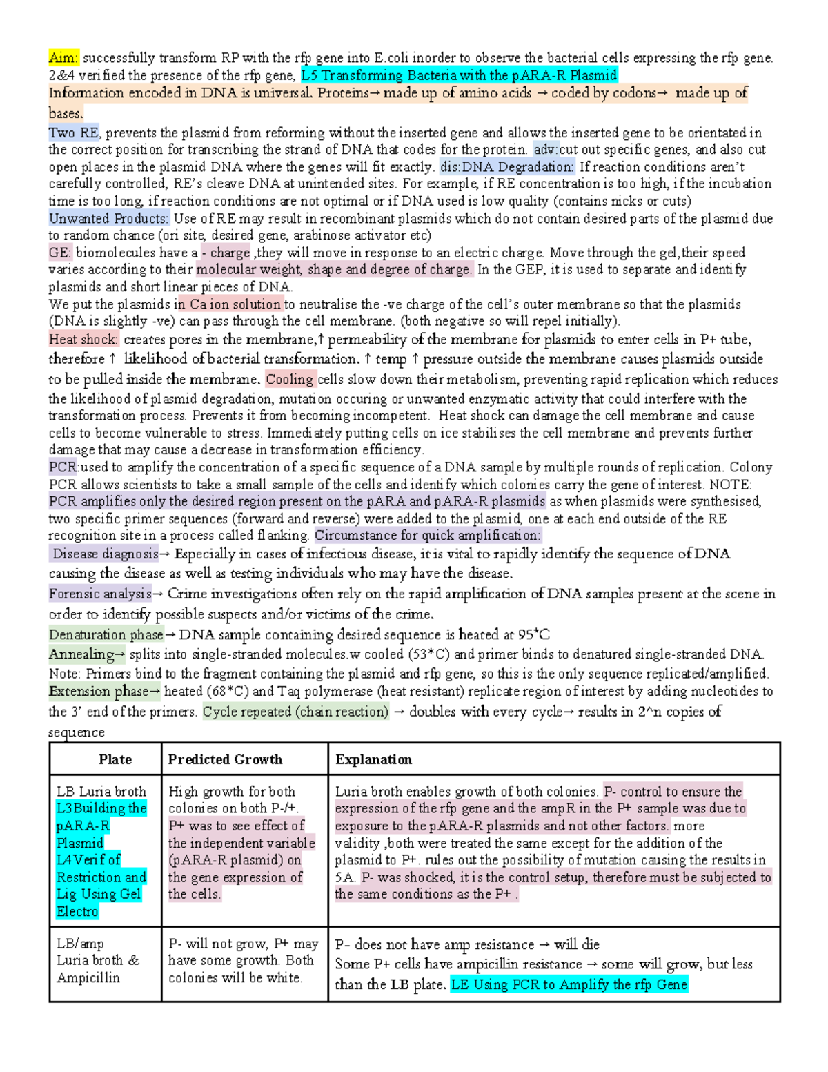 Bio summary sheet - Aim: successfully transform RP with the rfp gene ...
