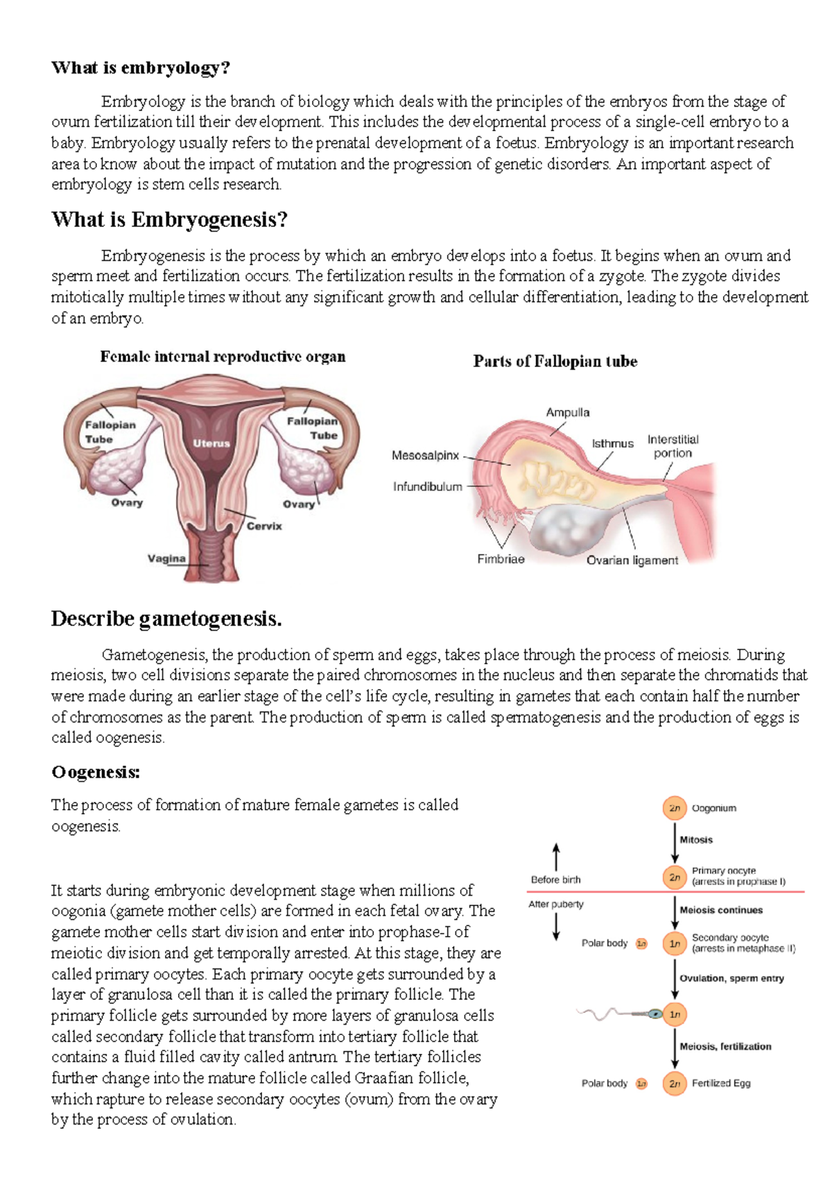 Embryology note2 - about embryo - What is embryology? Embryology is the ...