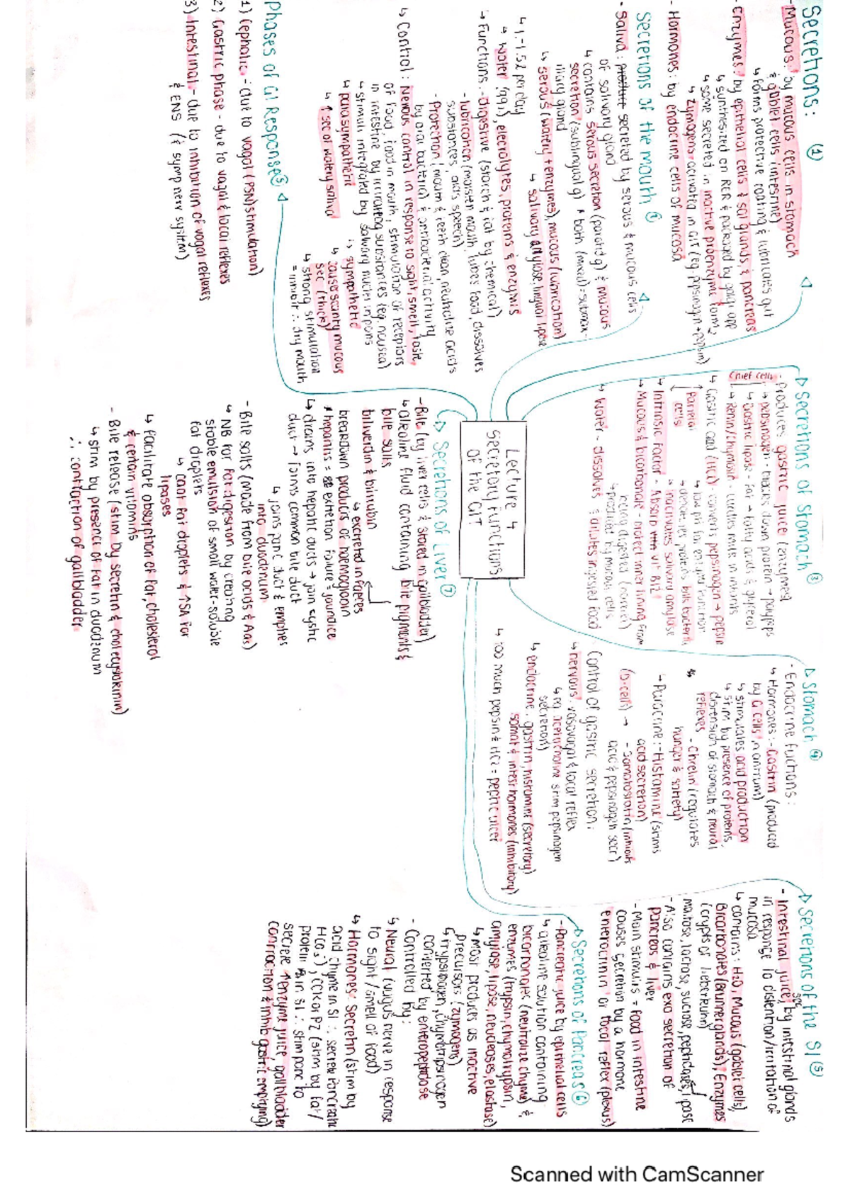 Secretory Functions of the GIT summary - FLG 222 - Studocu