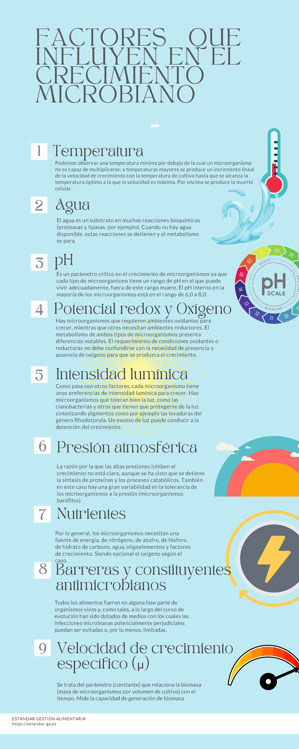 Factores que influyen en el crecimiento microbiano - ESTANDAR GESTIÓN ...