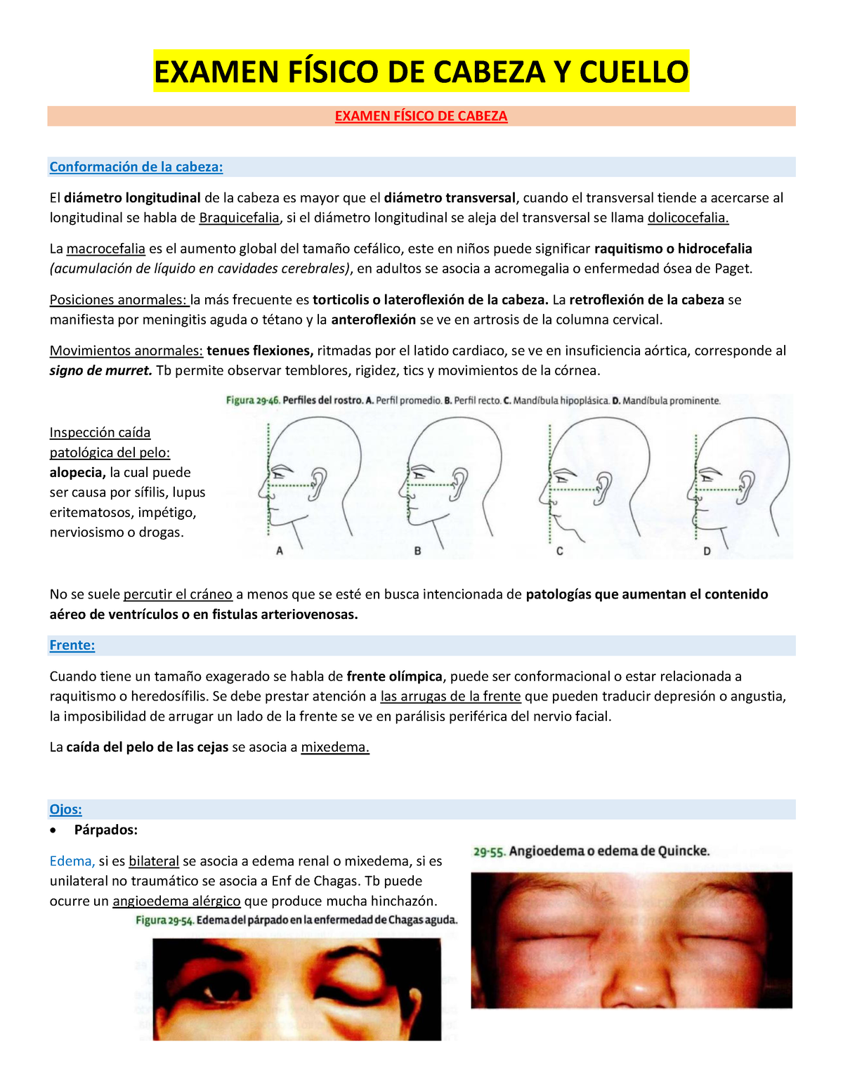 Examen FÍsico De Cabeza Y Cuello Examen FÍsico De Cabeza Y Cuello Examen FÍsico De Cabeza 7382