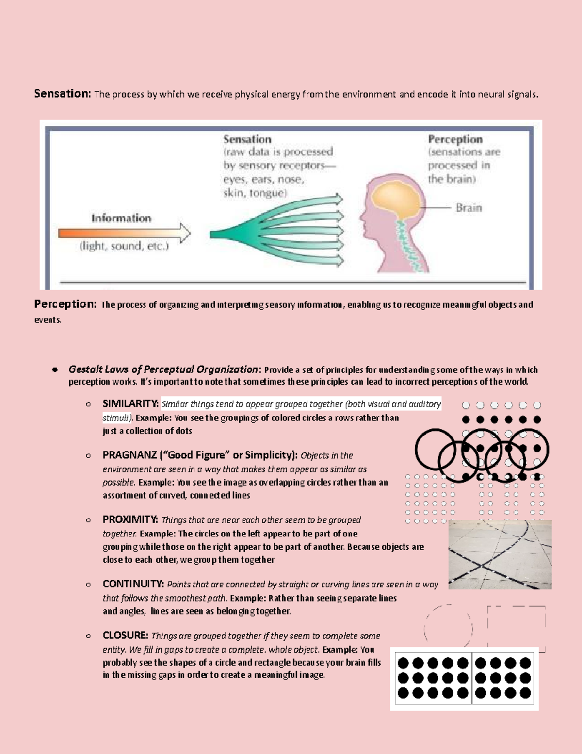 Everything on Sensation and Perception - Sensation: The process by ...