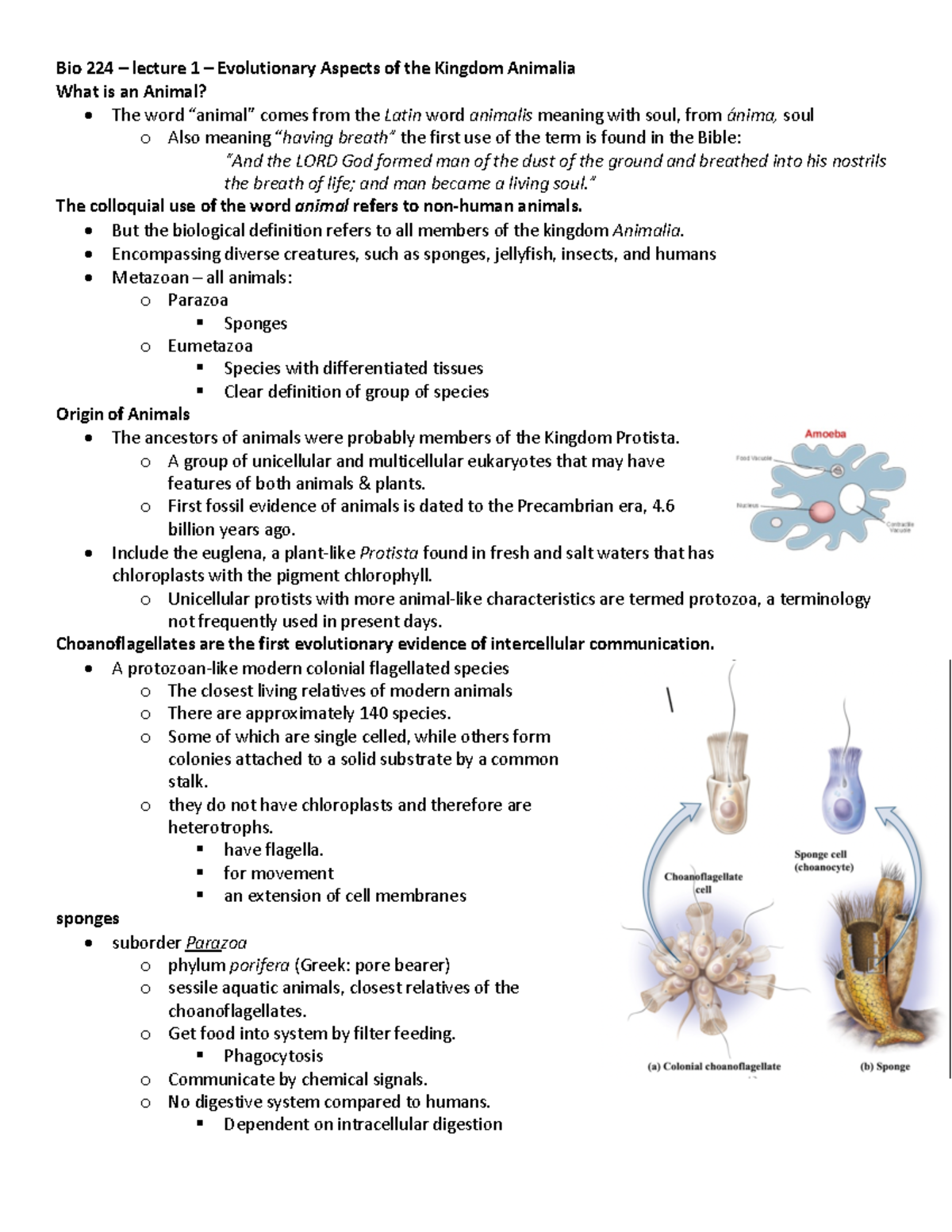 Lecture 1 - ABS 224.3 - Evolutionary Aspects of the Kingdom animalia ...