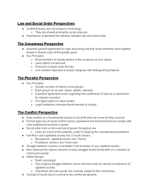 Chapter 7 - Social Structure Theories - Major Principles Of ...