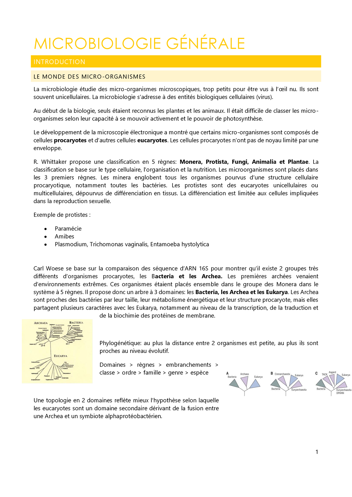 Microbiologie Générale - MICROBIOLOGIE GÉNÉRALE INTRODUCTION LE MONDE ...