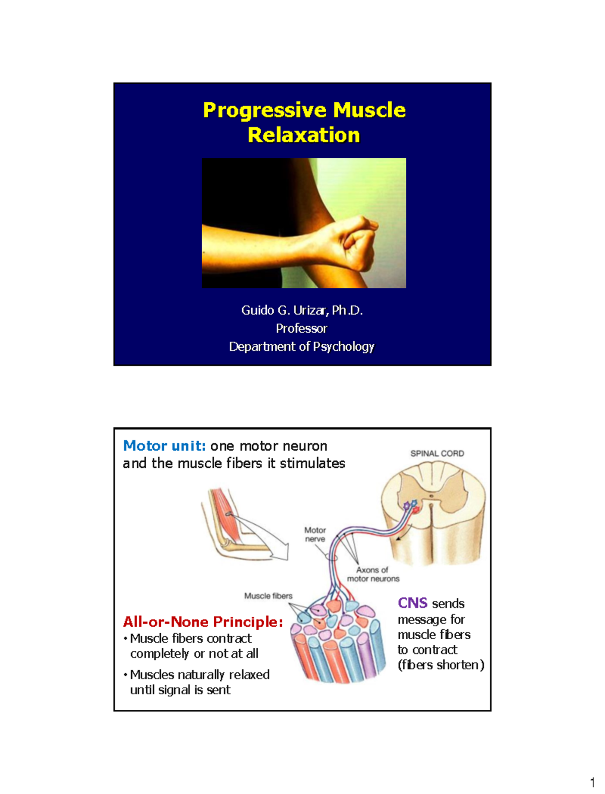 PSY 379 Progressive Muscle Relaxation 2020 - Progressive Muscle ...