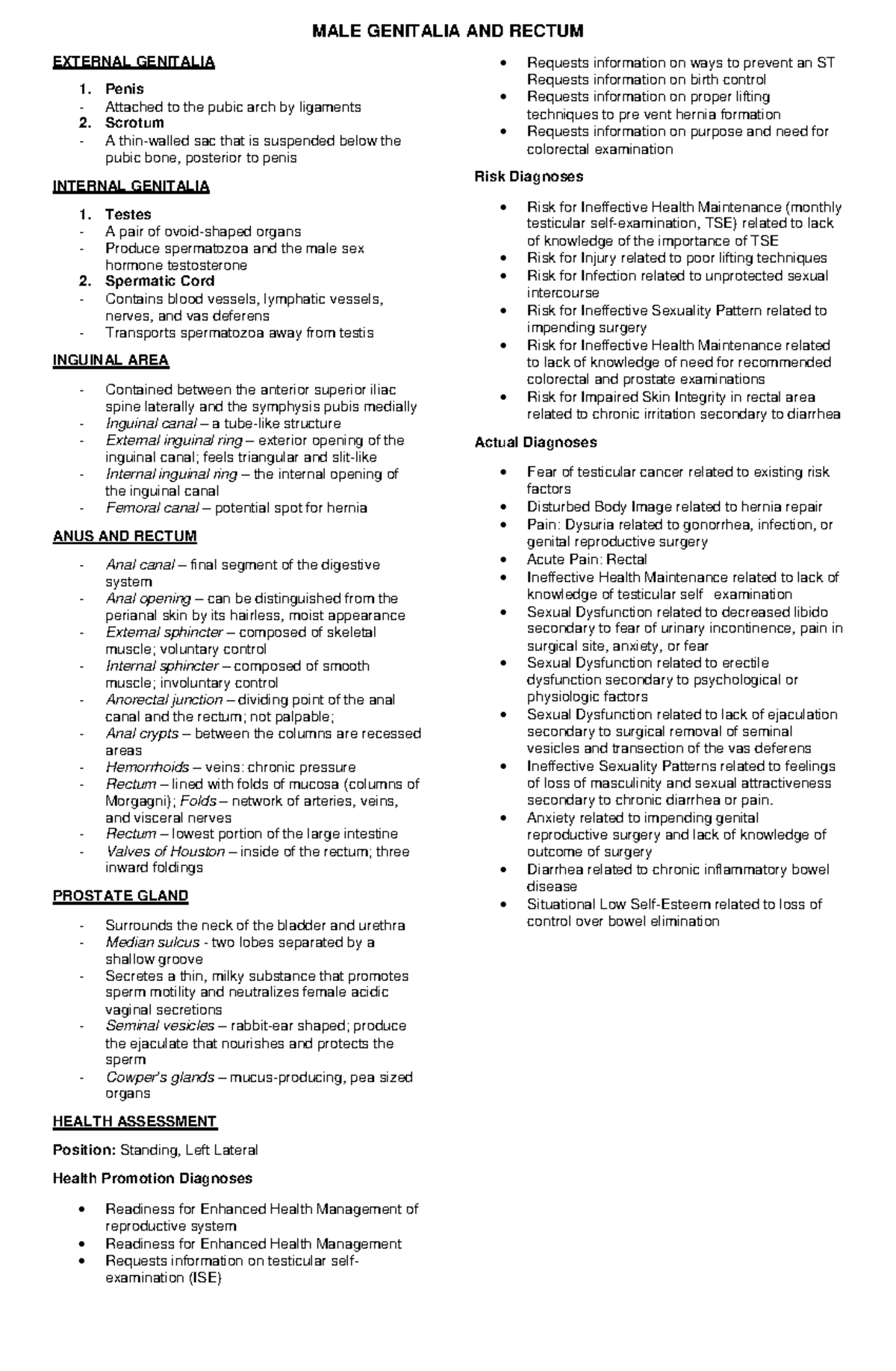 MALE Genitalia& Rectum - MALE GENITALIA AND RECTUM EXTERNAL GENITALIA 1 ...