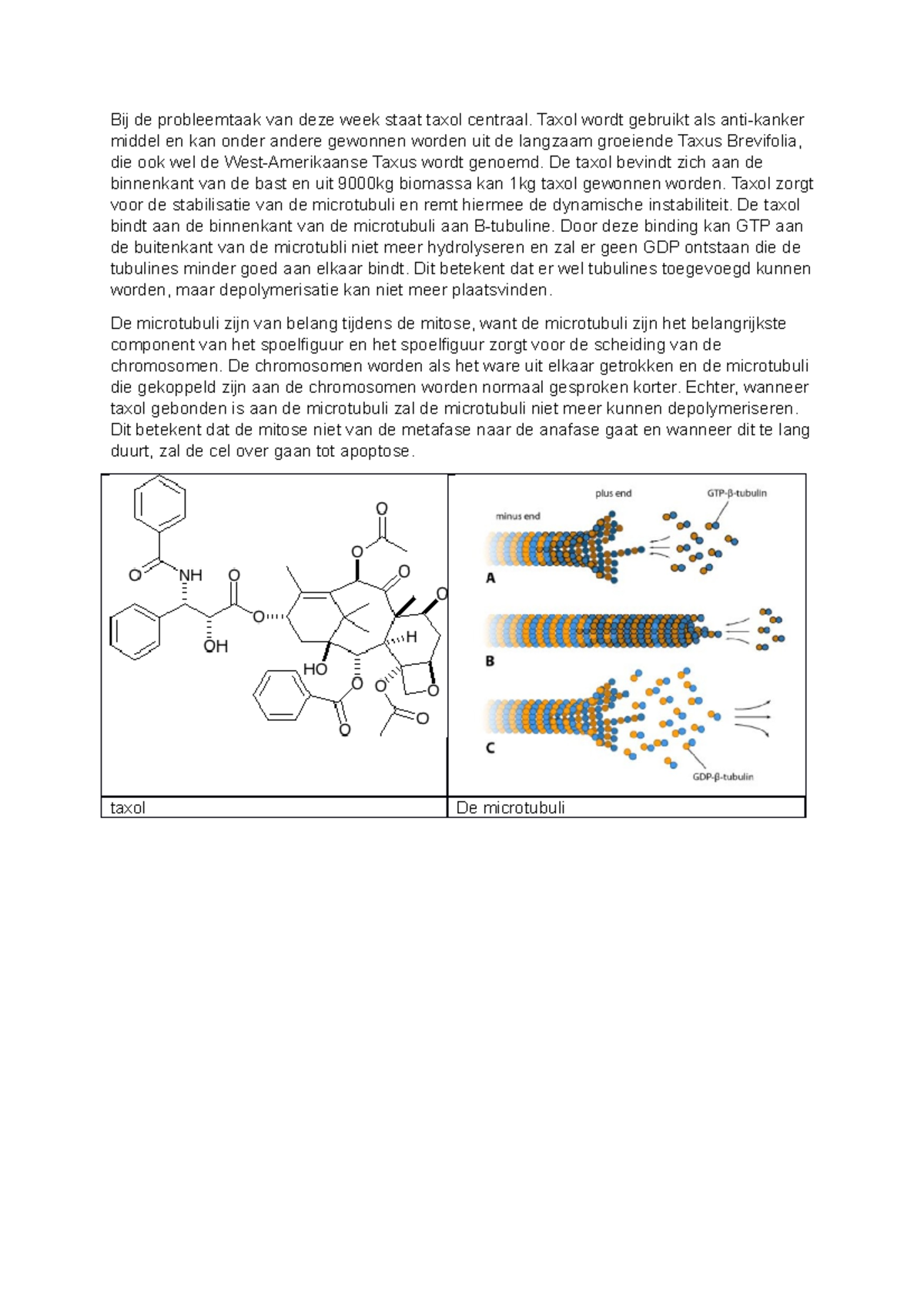 Leerdoel Week 3 7 Het Effect Van Taxol Op De Celcyclus En Mitose