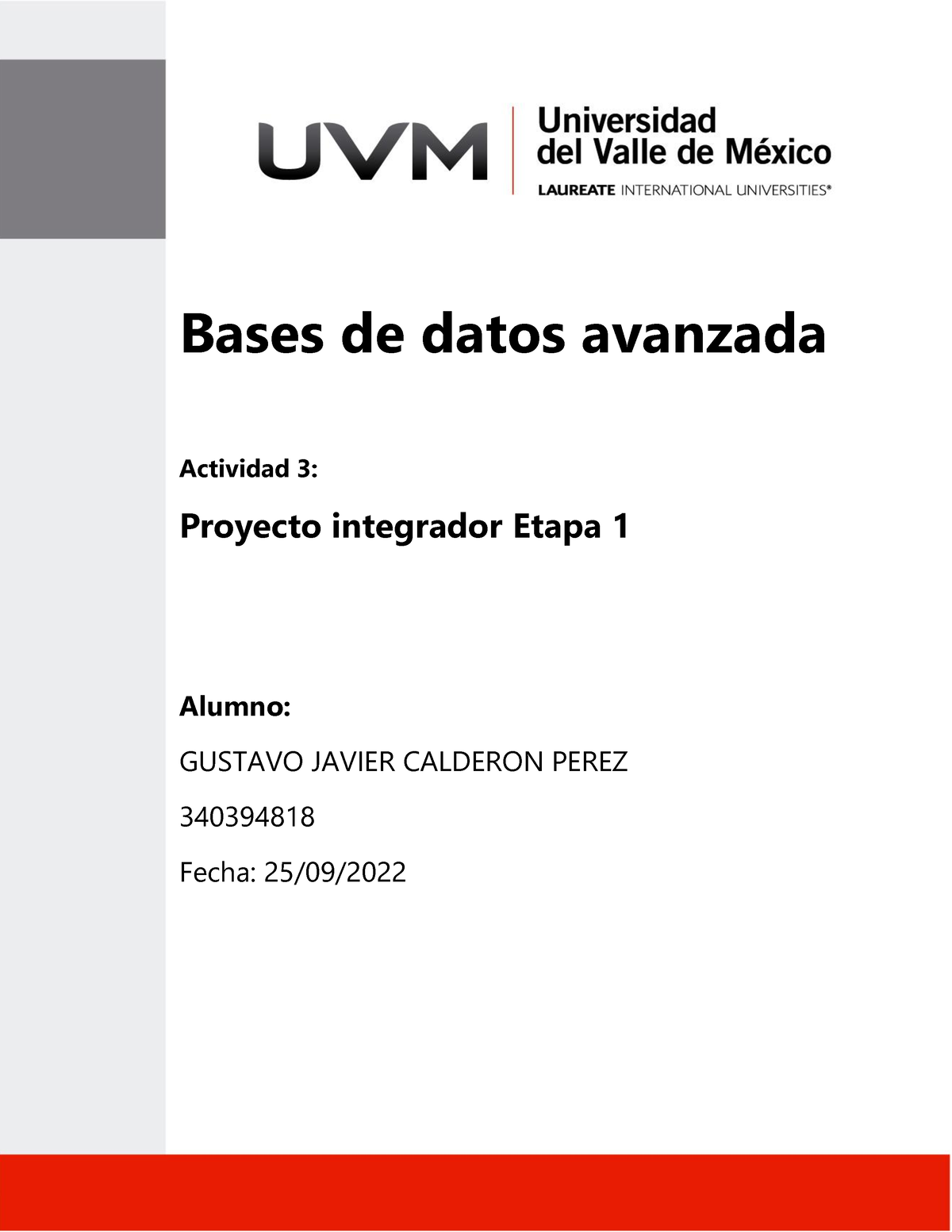 Actividad Proyecto Integrador Etapa Bases De Datos Avanzada