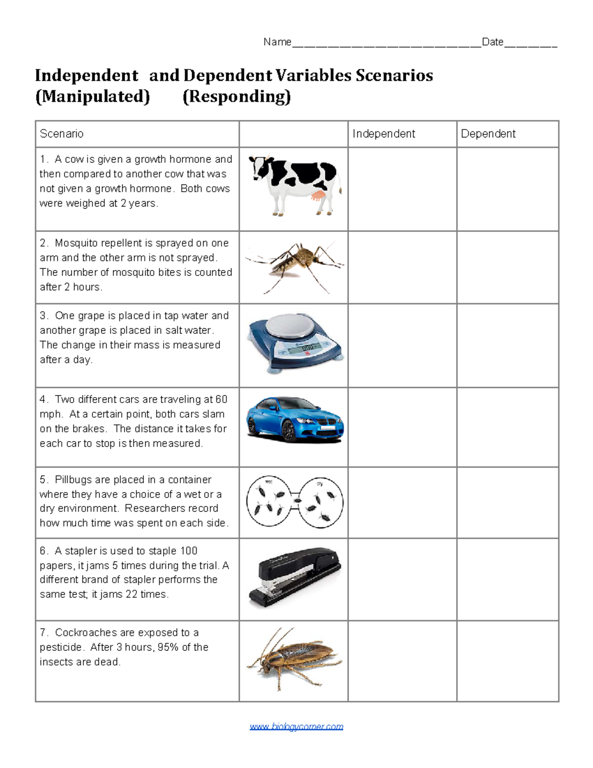 Independent and Dependent Variables - Name ...