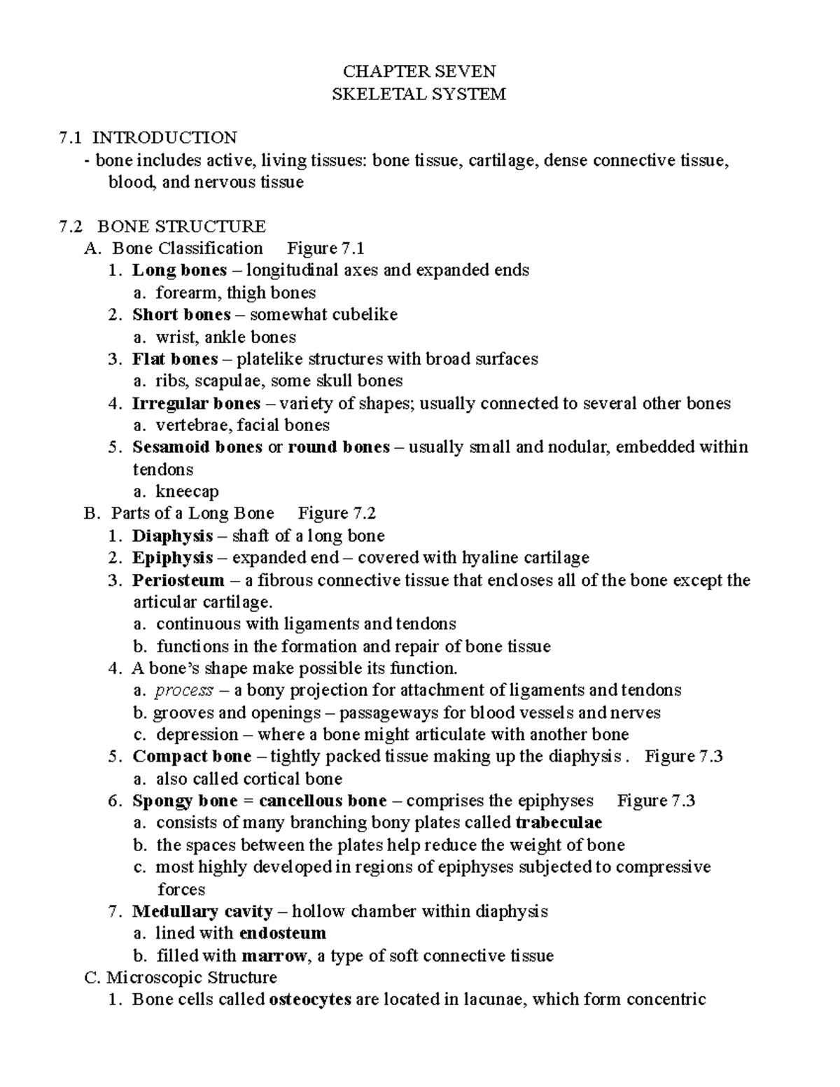 Chapter Seven-225 - CHAPTER SEVEN SKELETAL SYSTEM 7 INTRODUCTION Bone ...