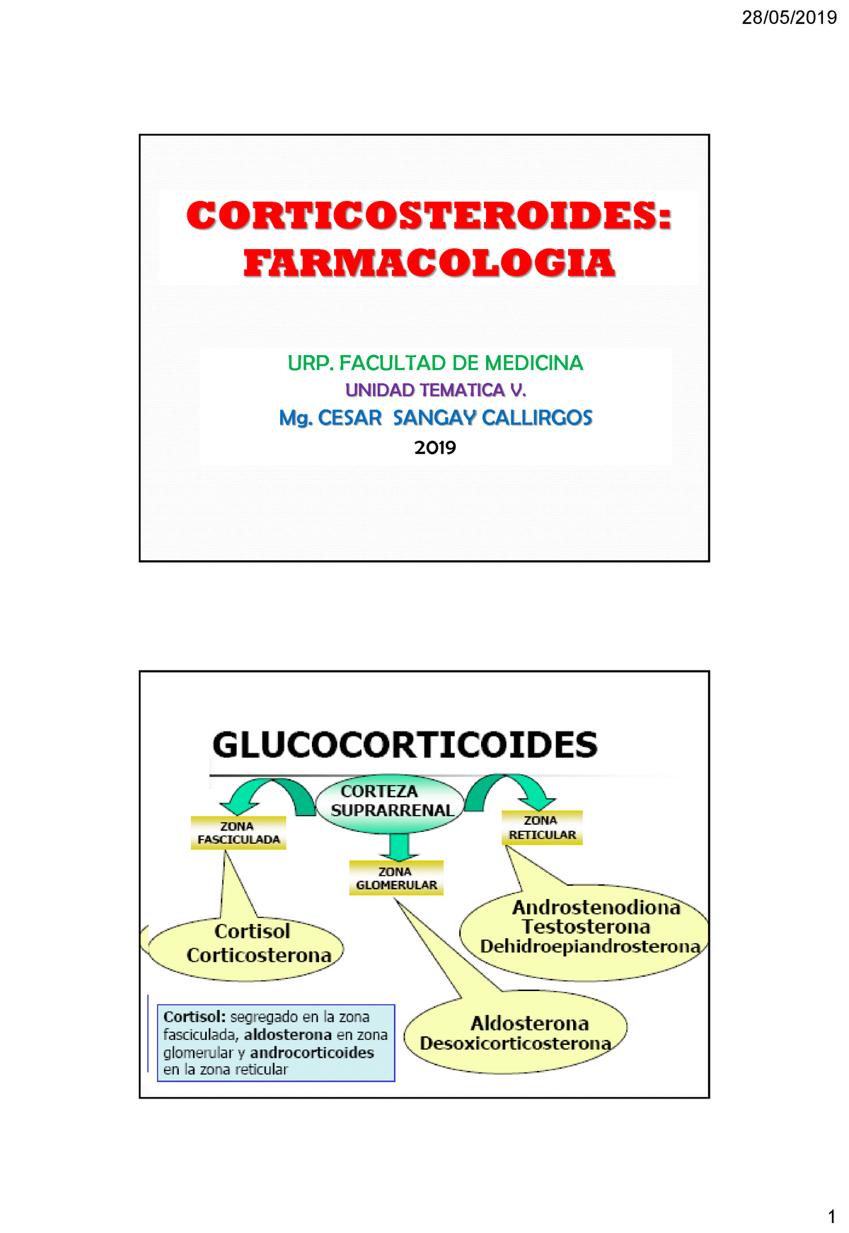 SOLUTION: Corticoesteroides farmacologia - Studypool