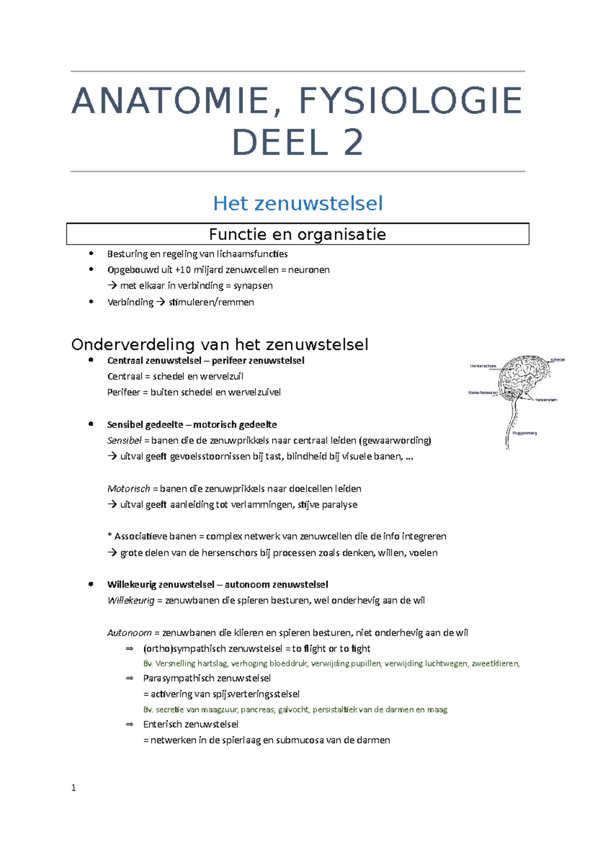 TAB 1.1 Anatomie - Fysiologie Deel 2 - ANATOMIE, FYSIOLOGIE DEEL 2 Het ...