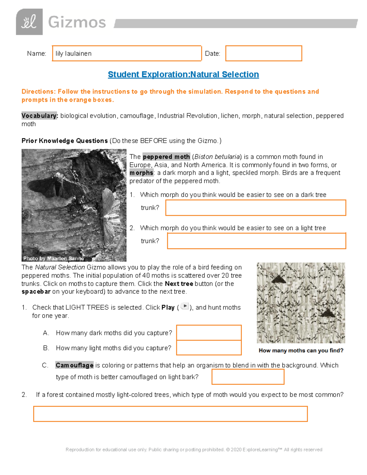 Natural Selection Vs. Artificial Selection: Gizmo Answers Explained - mgyg76e