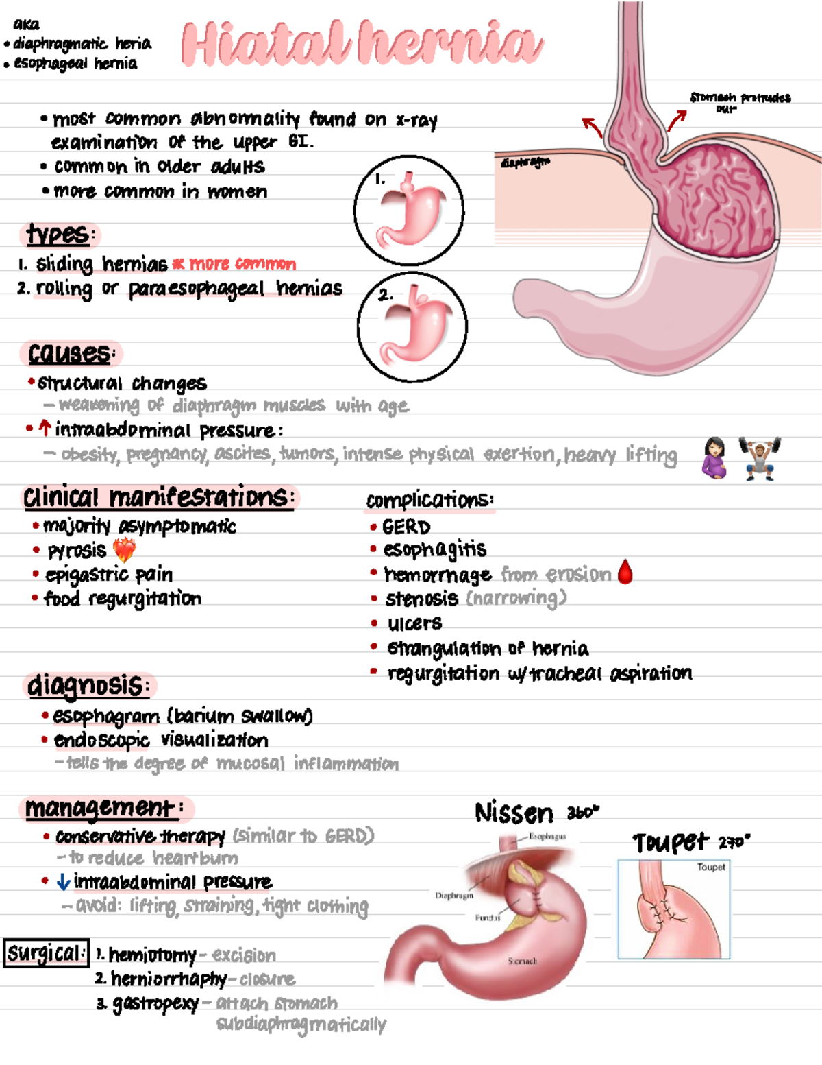 Hiatal Hernia - common in older adults diaphragm 1. more common in ...