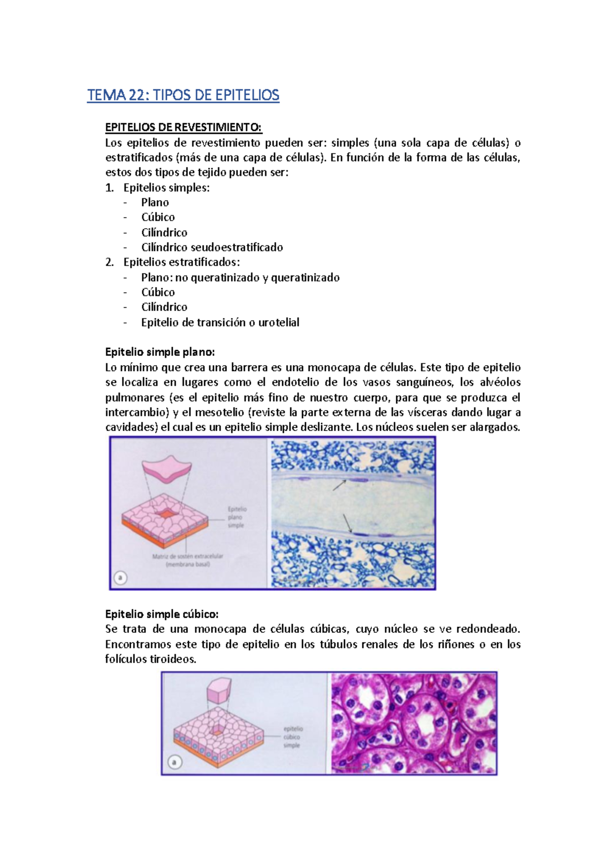 TEMA 22 - Apuntes 1 - Warning: TT: undefined function: 32 Warning: TT ...