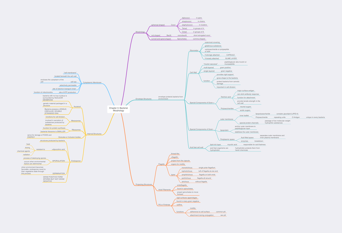 Bacteriophages Morphology And Uses Online Science Notes