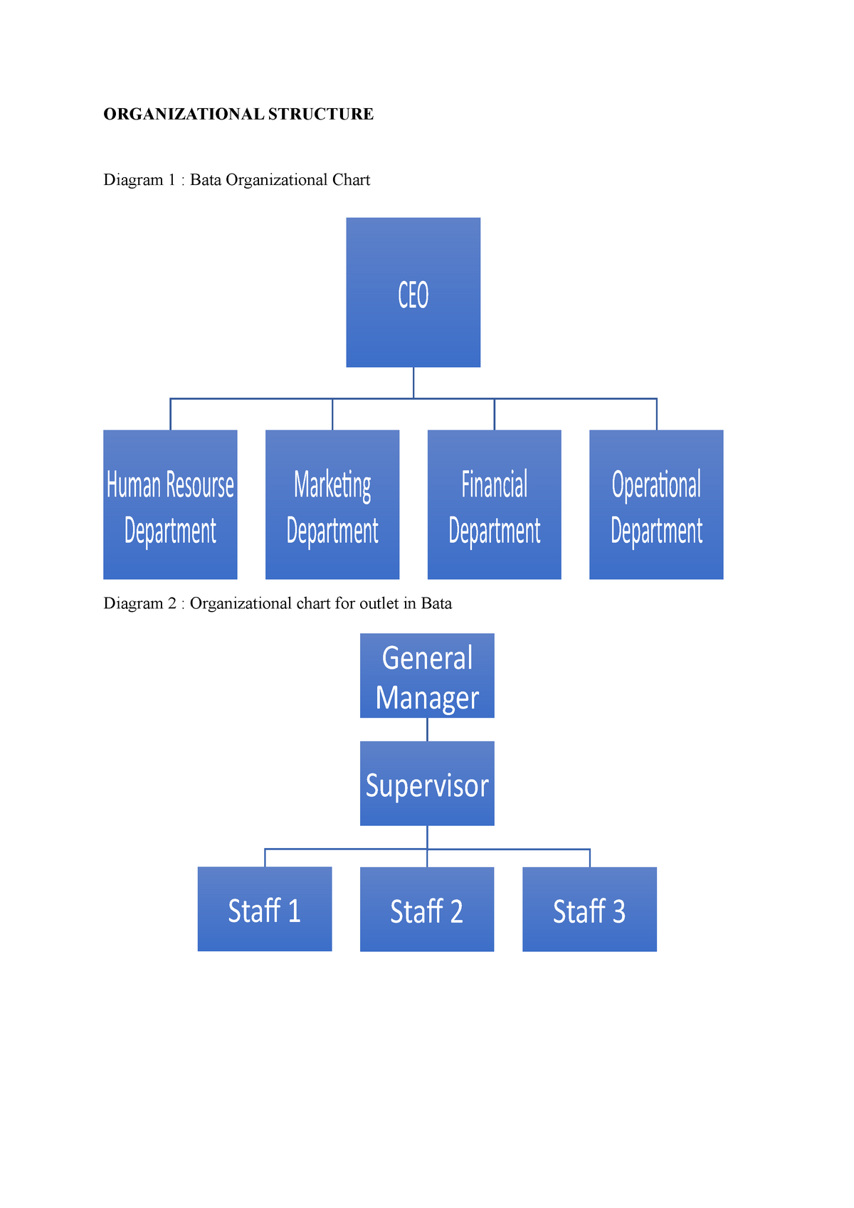 organisational structure case study
