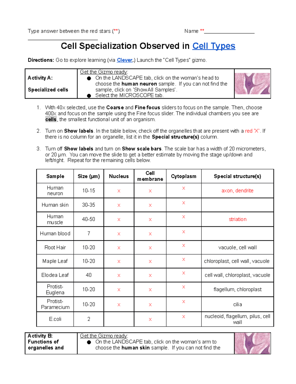 Cell Types Gizmo for IB7 Cells Are The Best - Type answer between the ...