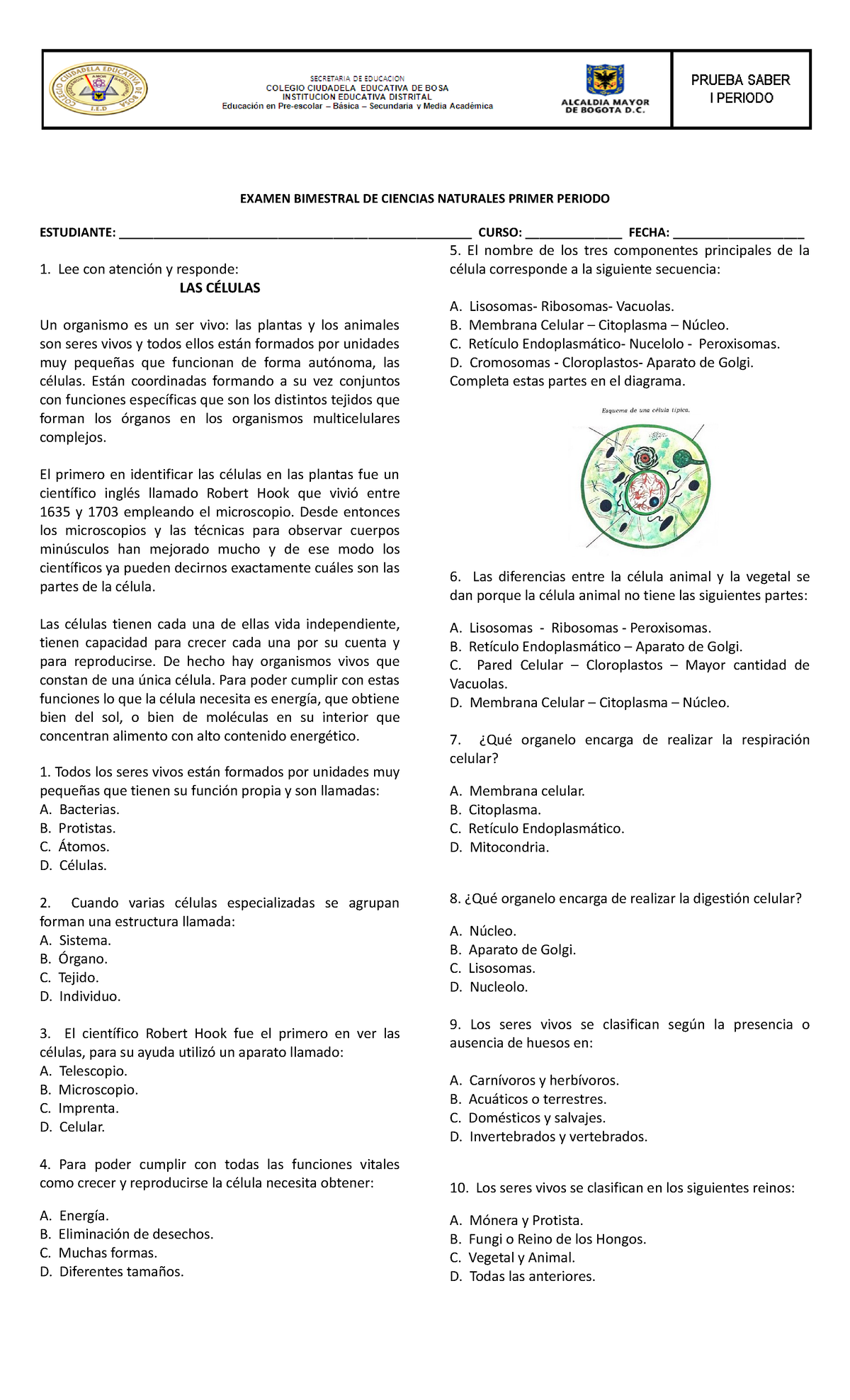 Prueba Saber 1 Periodo - Apuntes Ciencias Naturales Grado 4 - EXAMEN ...