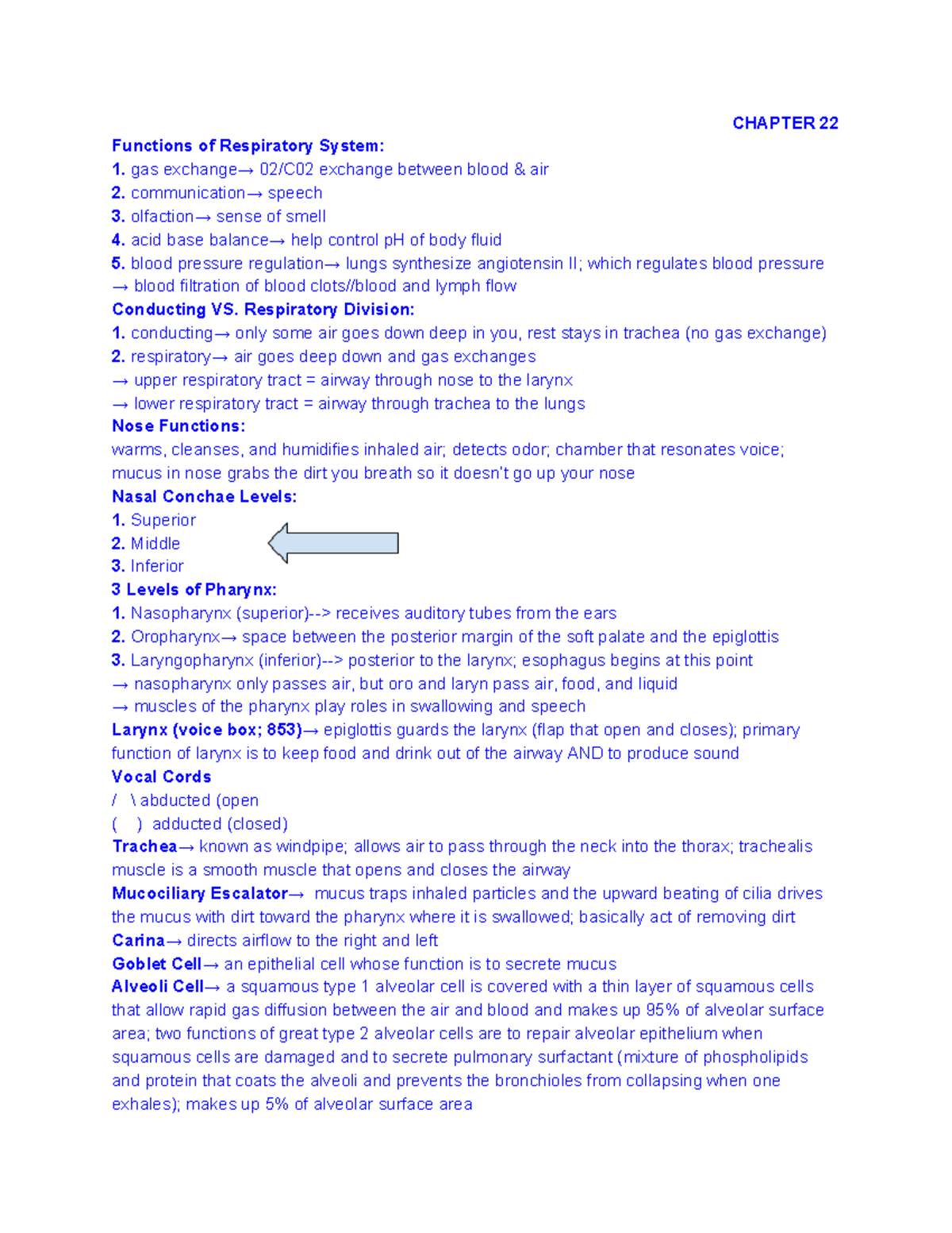 A&P EXAM 5 - study guide for exam 5 - CHAPTER 22 Functions of ...