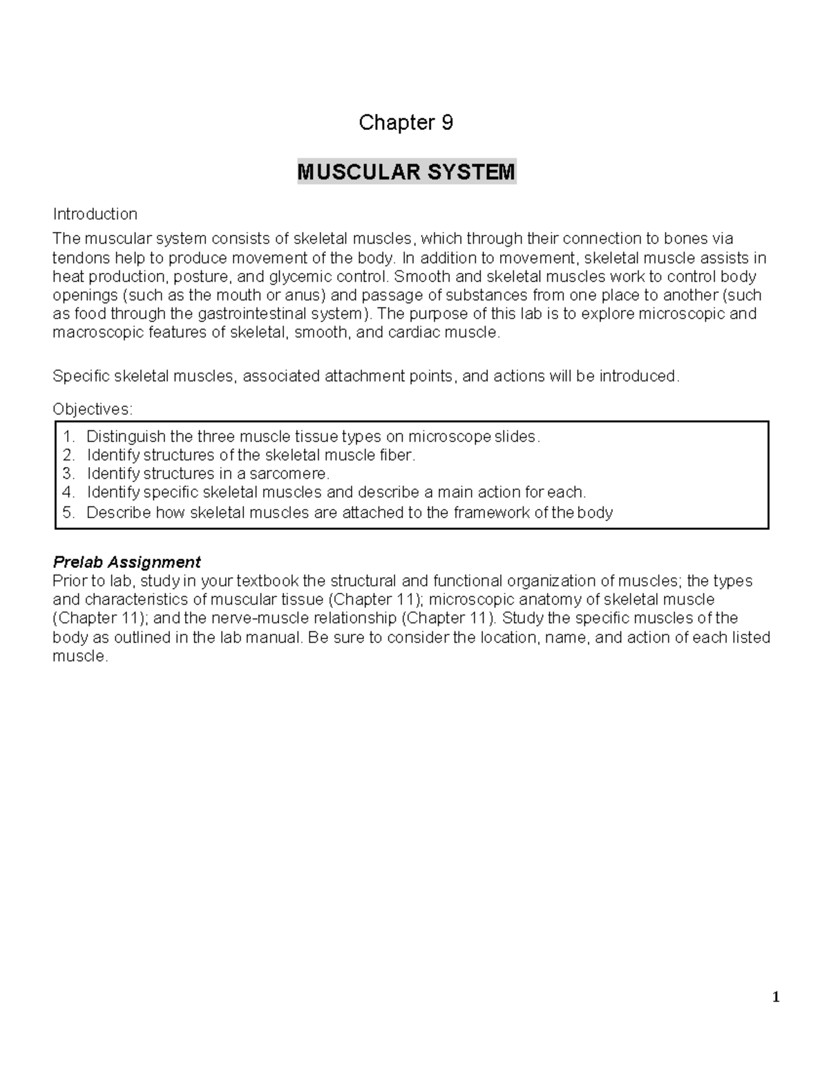 Ch 9 Muscular System - Anatomy Lab Assignment - Chapter 9 MUSCULAR ...