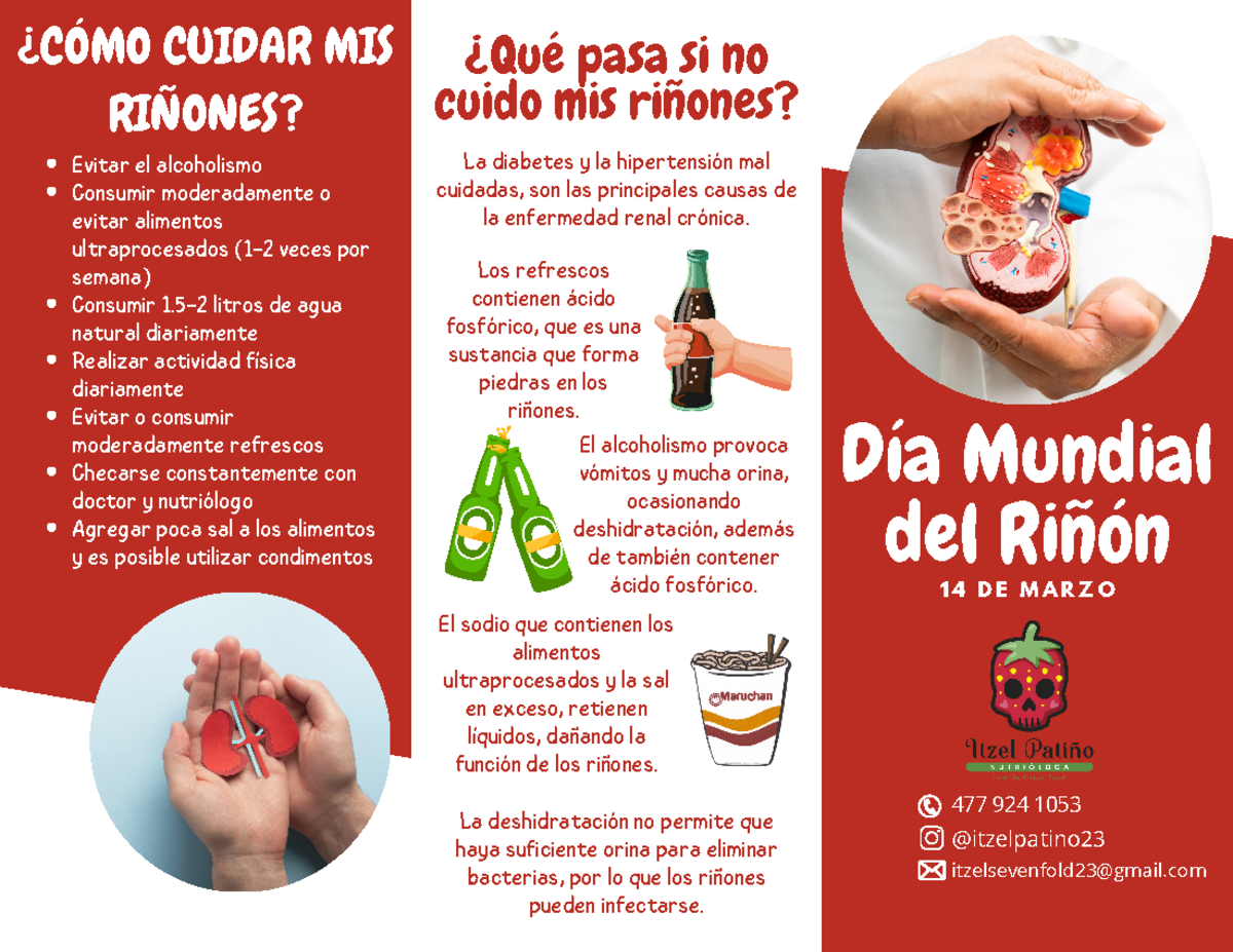 Folleto Día Mundial del Riñón - 477 924 1053 @itzelpatino ...