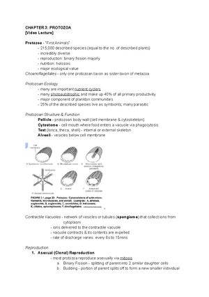 Ch2 Intro To Protozoans Chapter 2 Introduction To Protozoa Video