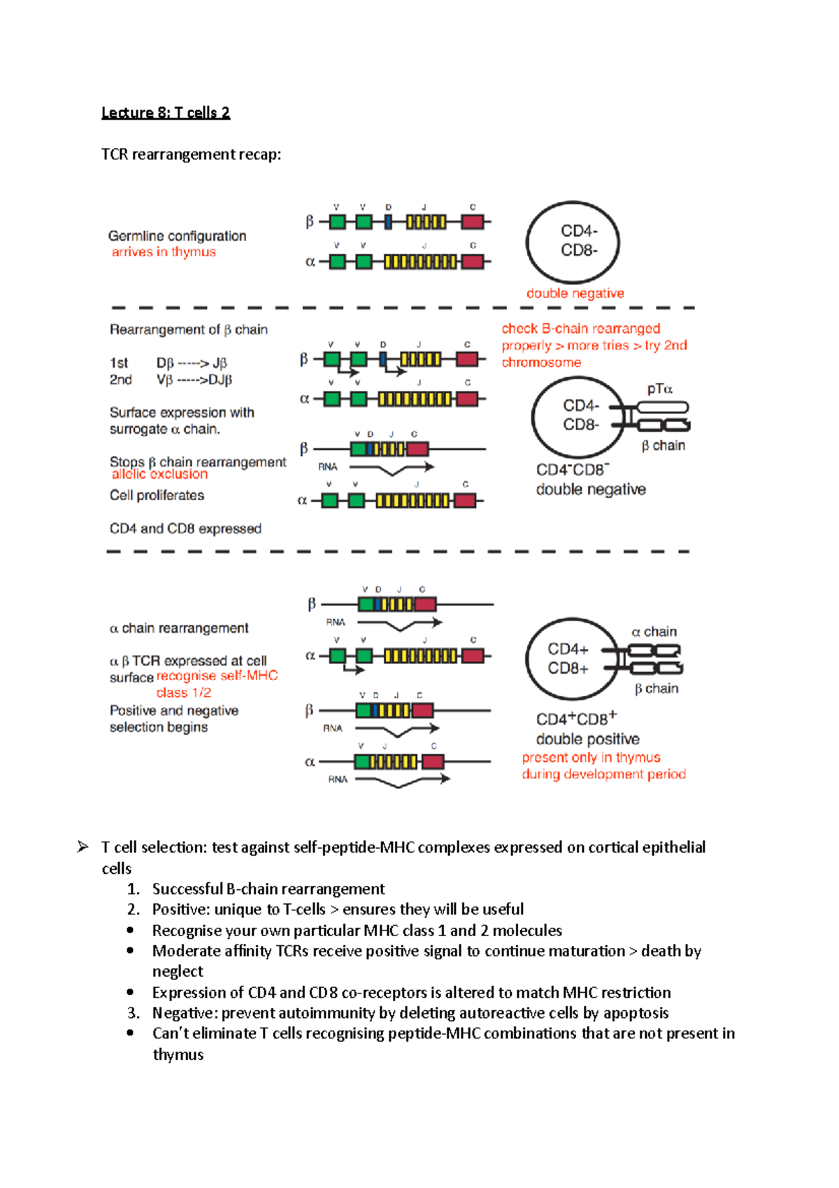 BOD – Revision – Michaelmas – Kelly – Immunology - 15 - Lecture 8: T ...