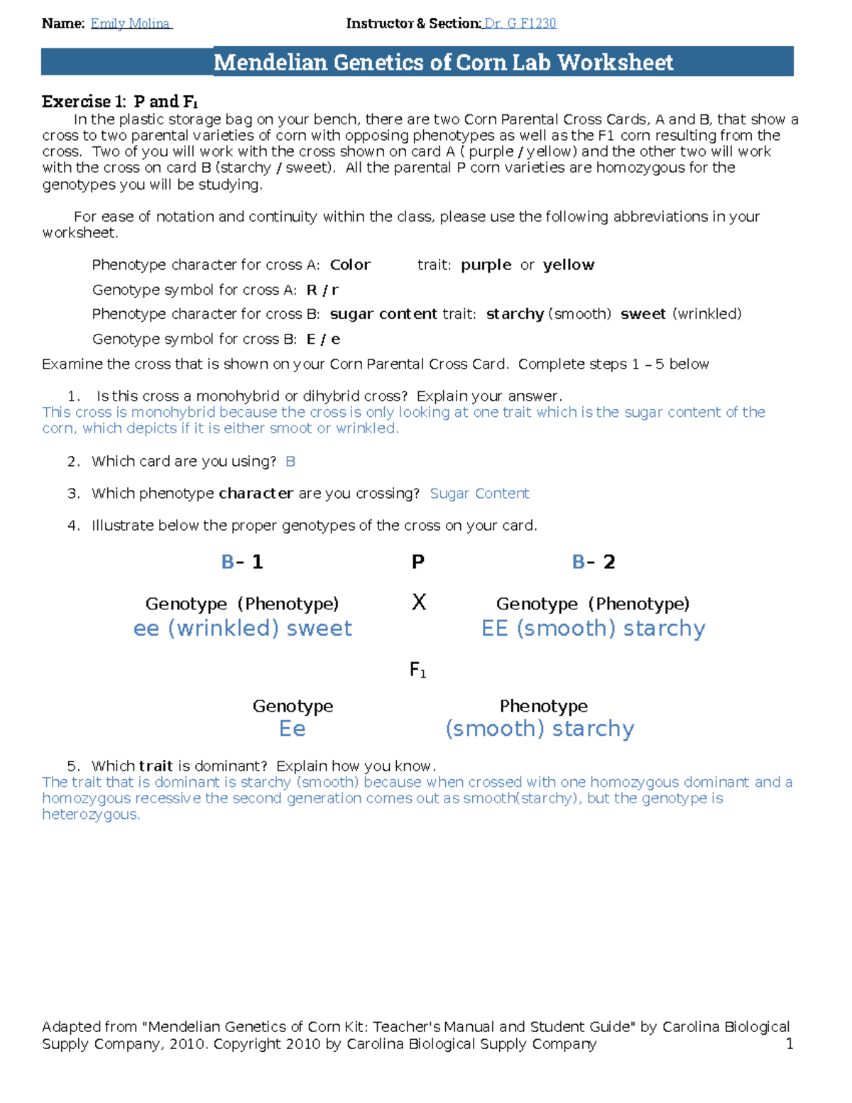 Mendelian Genetics Corn Lab - Mendelian Genetics Of Corn Lab Worksheet ...