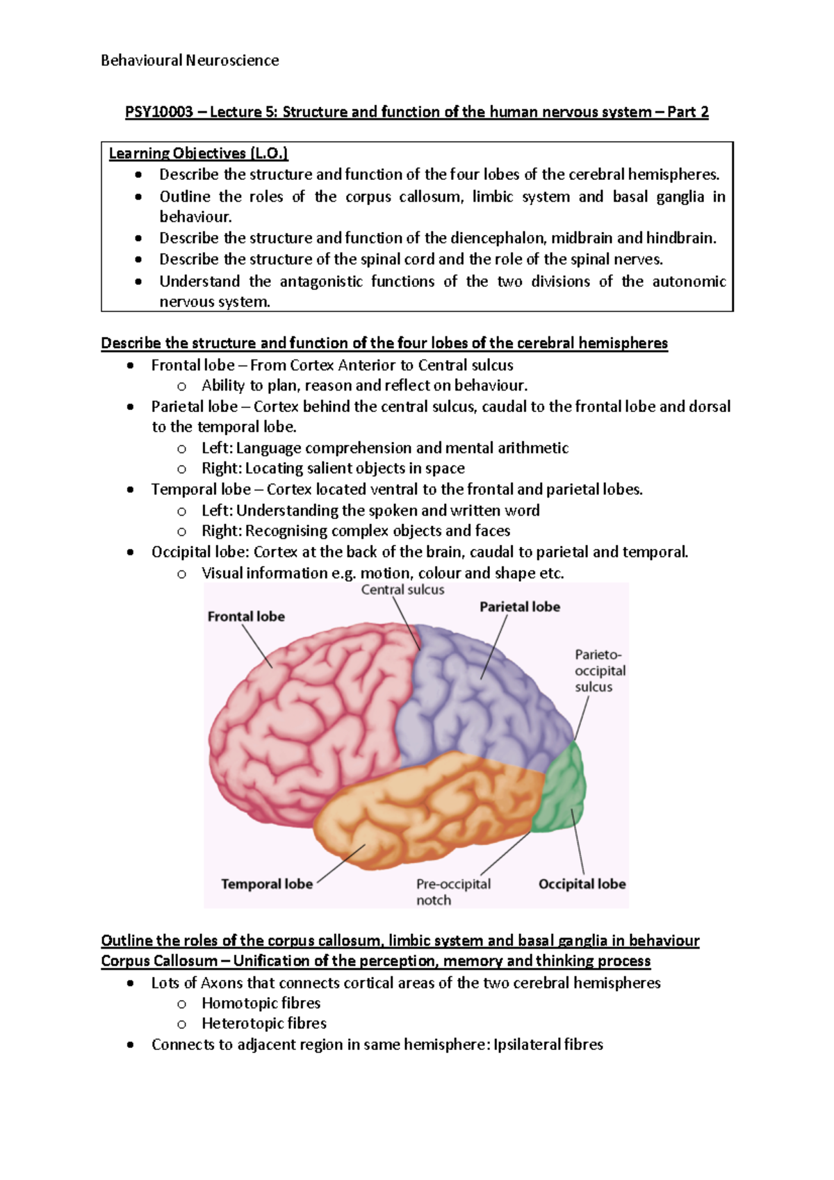 Lecture 5 - Structure and function of the human nervous system – Part 2 ...