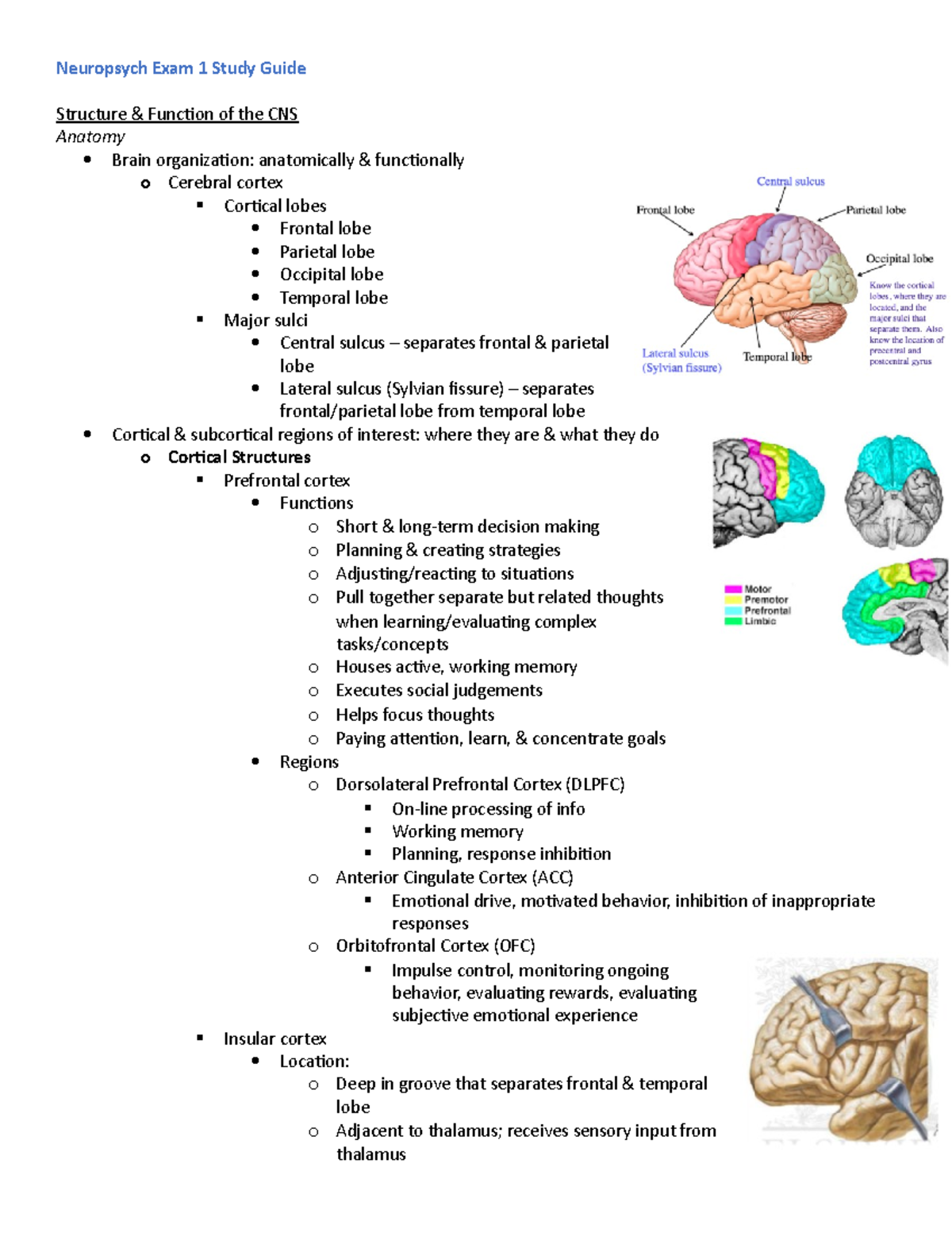 Neuropsych Exam 1 Study Guide - Neuropsych Exam 1 Study Guide Structure ...