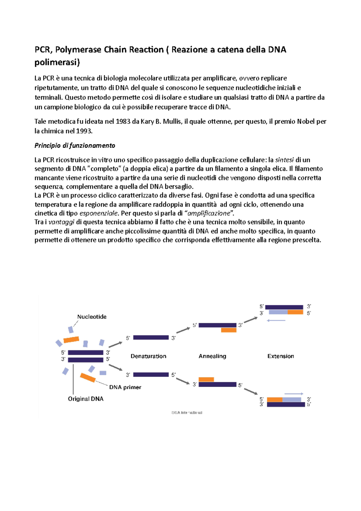 PCR laboratori professionalizzanti - PCR, Polymerase Chain Reaction ...
