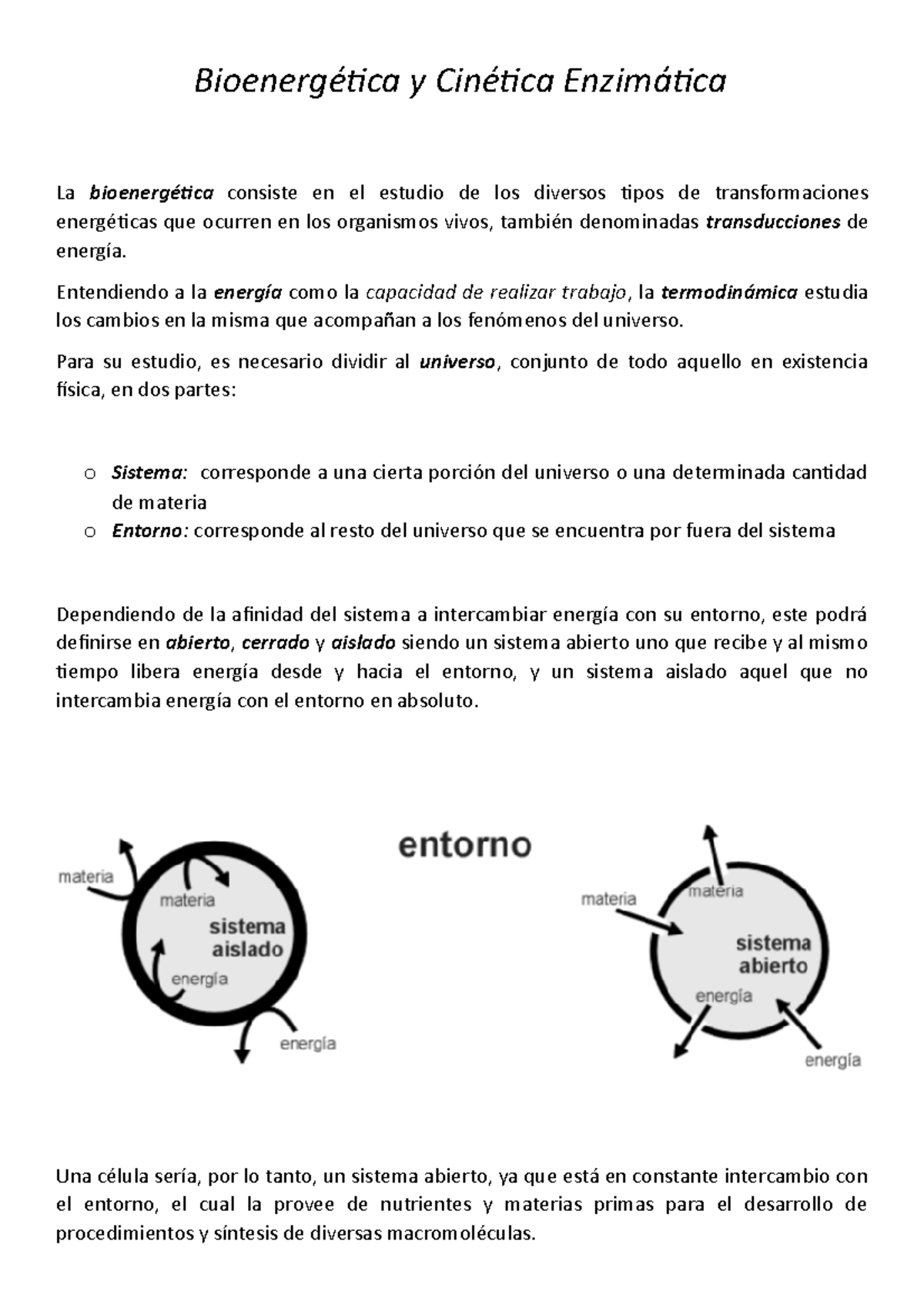 Resumen - Bioenerg Ã©️tica Y Cin Ã©️tica Enzim Ã¡tica - Bioenergética Y ...