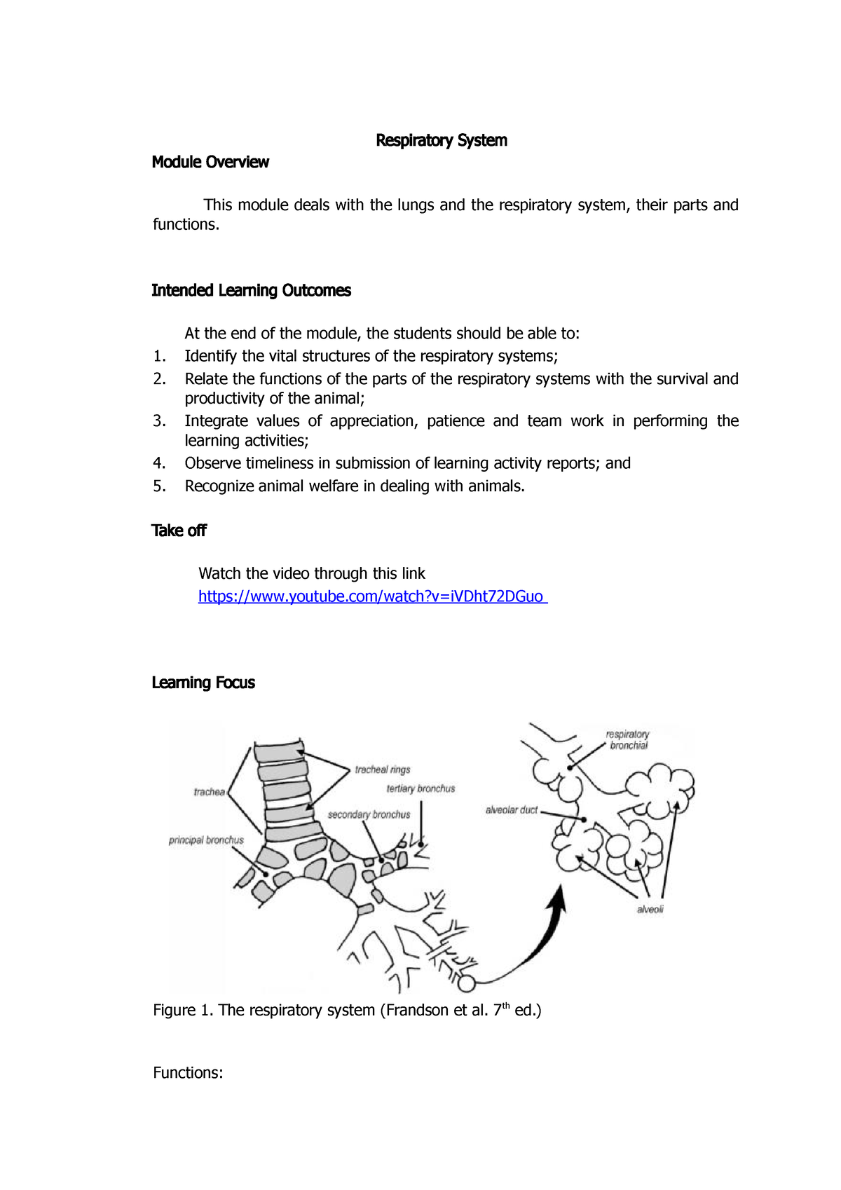 Respiratory System - Respiratory System Module Overview This Module ...