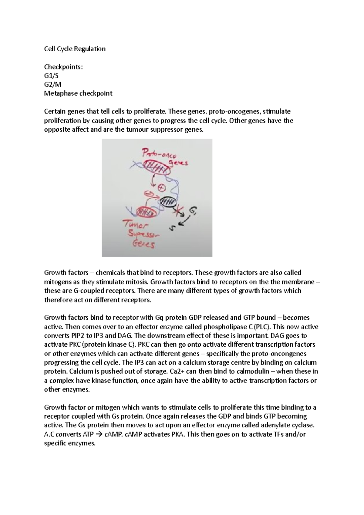 Checkpoints And Regulation Of Cell Cycle Online Biology Notes