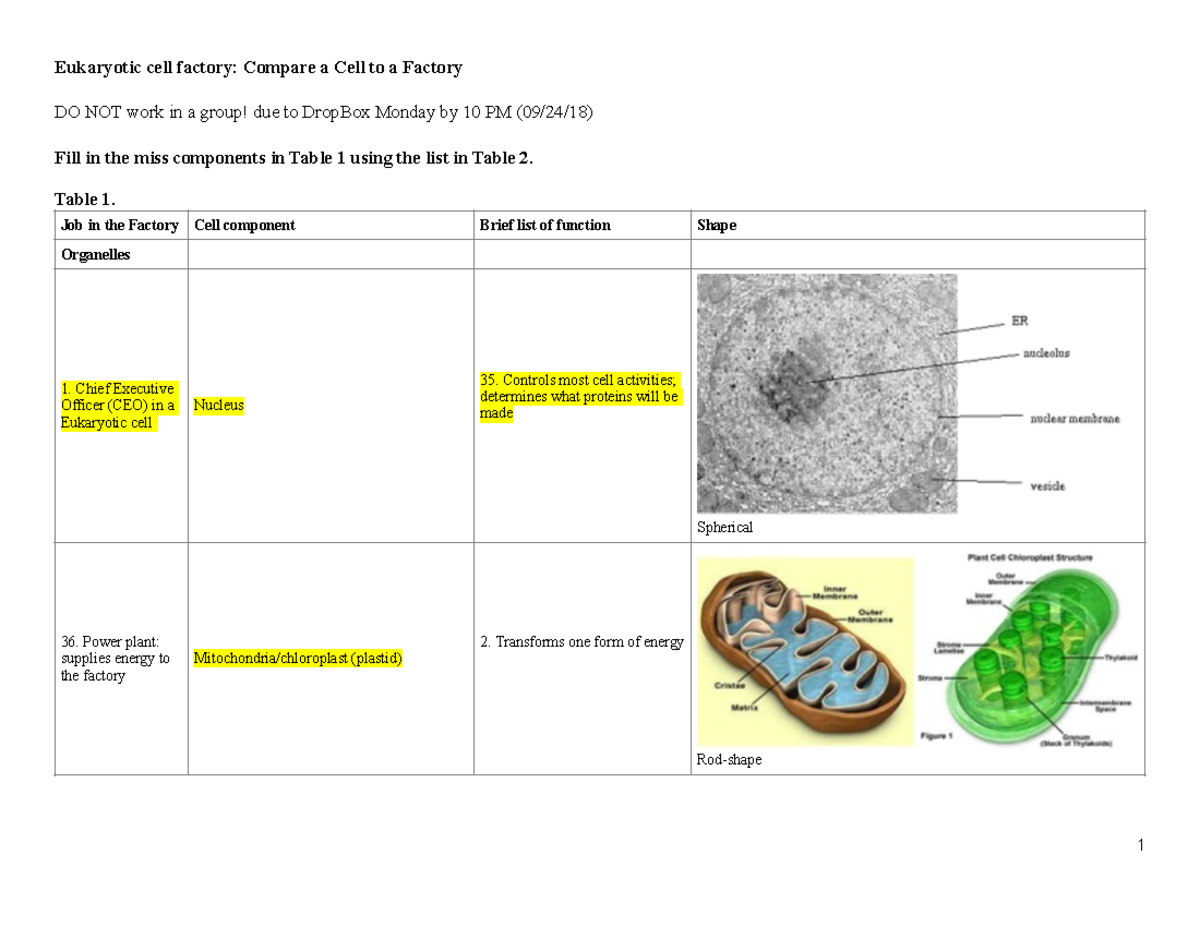 Assignment 7 the cell factory Eukaryotic cell factory Compare a Cell