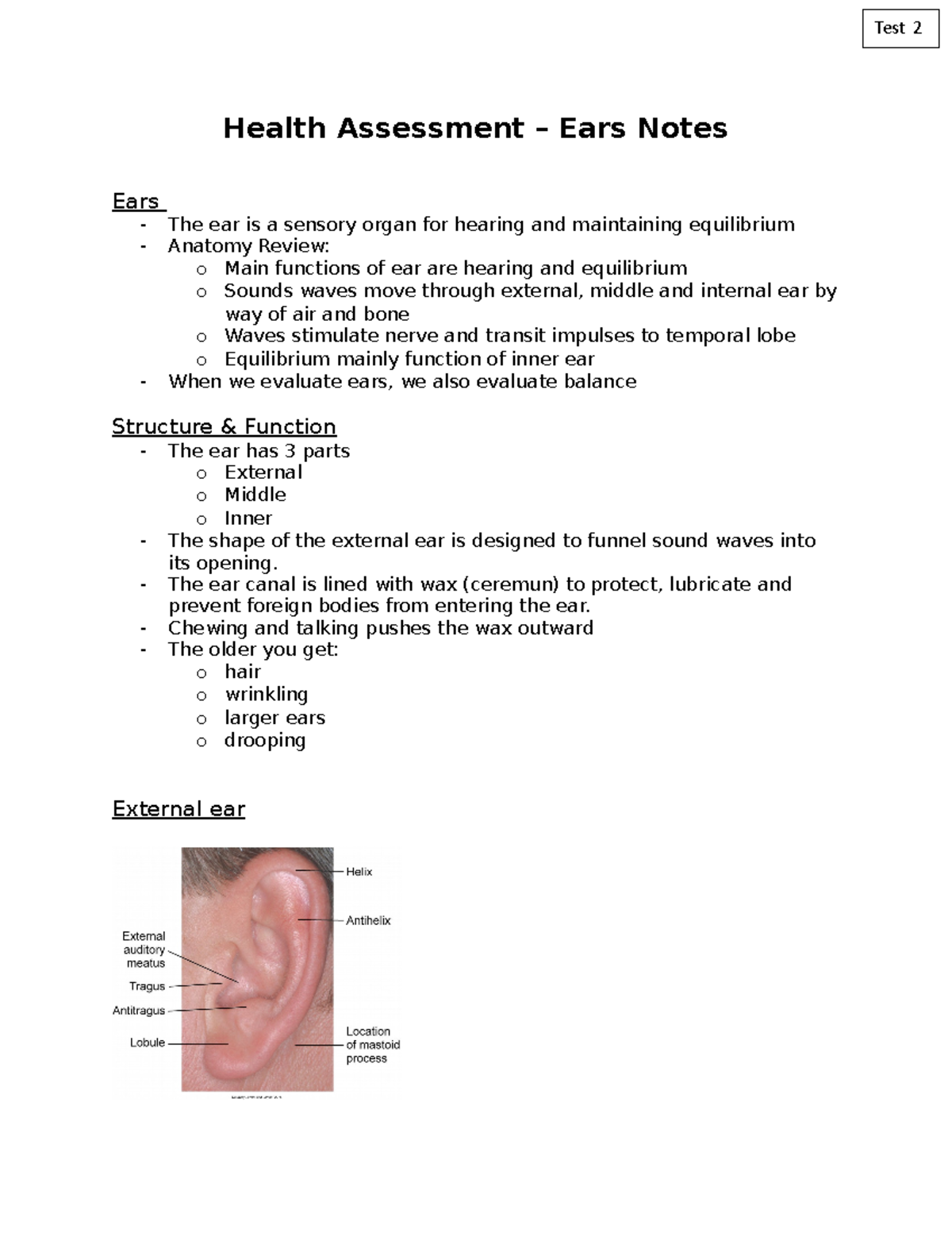 Notes Test 2 Ears Health Assessment Ears Notes Ears The ear is