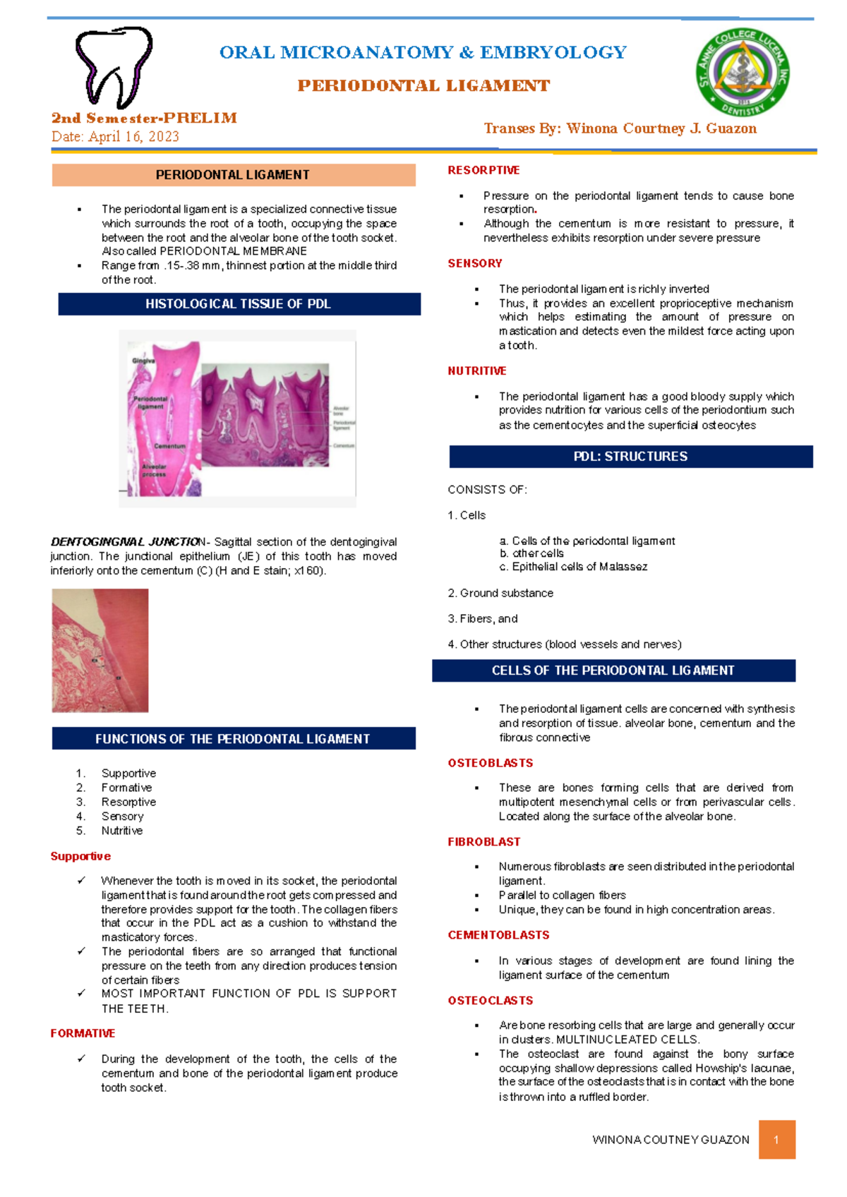 PDL-lecture-notes - sfdzhtgfdkjhgl - ORAL MICROANATOMY & EMBRYOLOGY ...